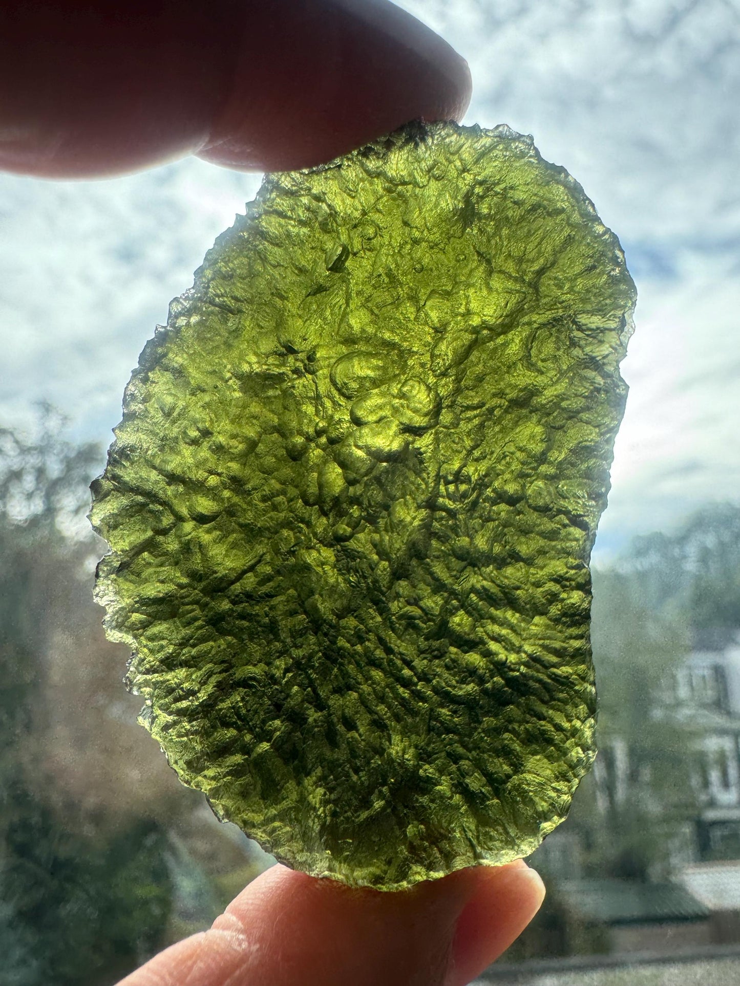 Extra Large Moldavite Crystal: 46.43g Chlum Collector Piece