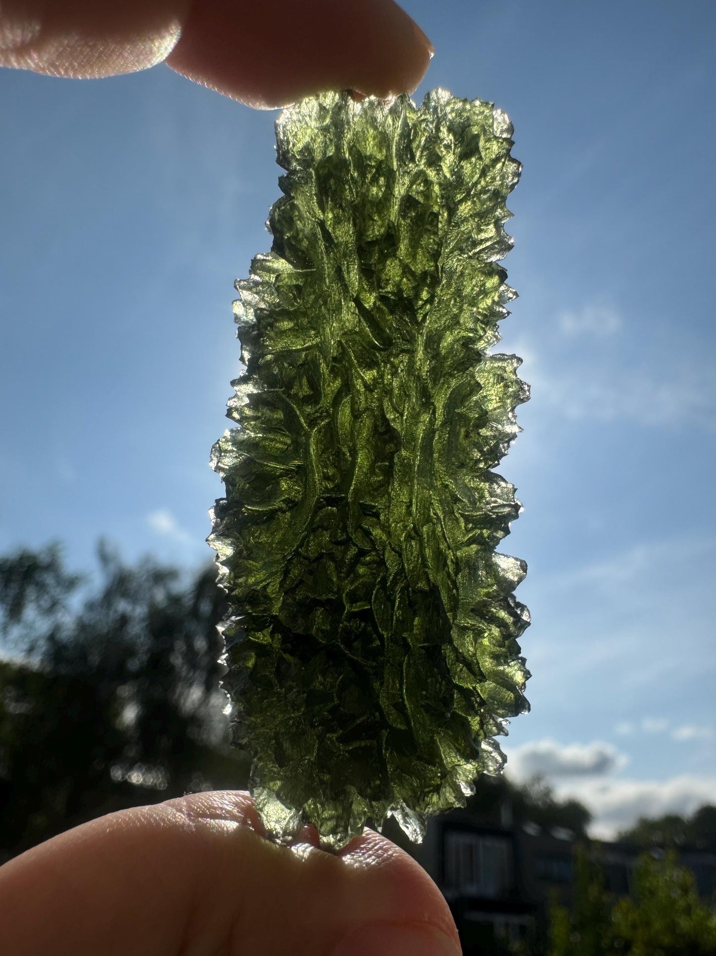 Moldavite Besednice Jezkovna 32.63g hedgehog super rare size rare location AAAAA