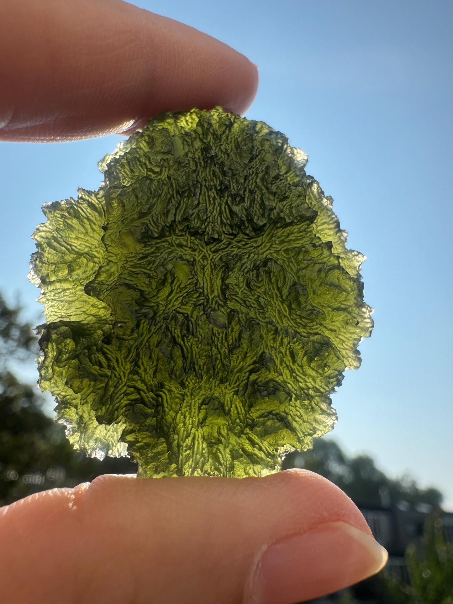 Collector Moldavite Specimen: Nesmen Les, Deep Texture (27.88g)