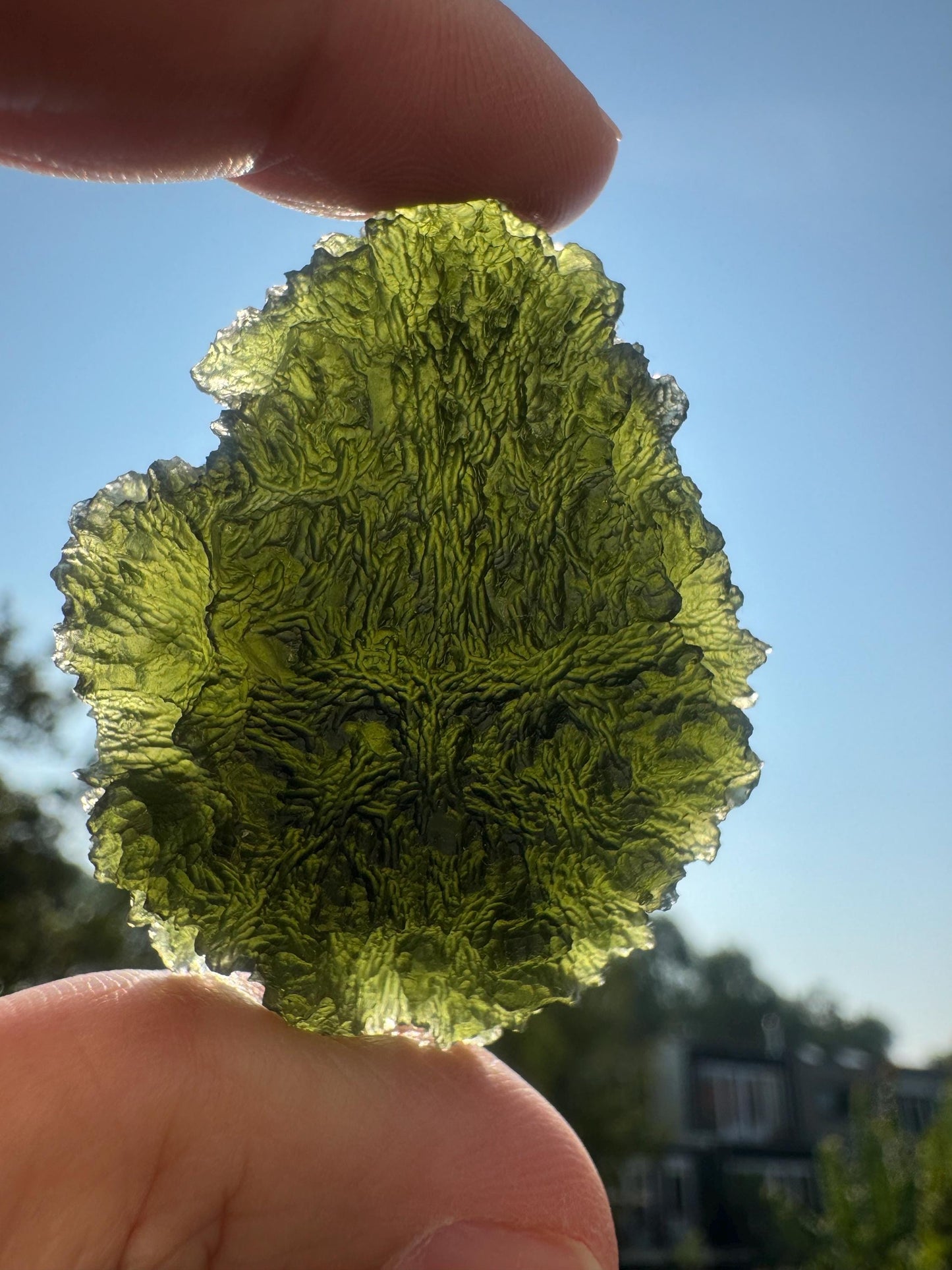 Collector Moldavite Specimen: Nesmen Les, Deep Texture (27.88g)