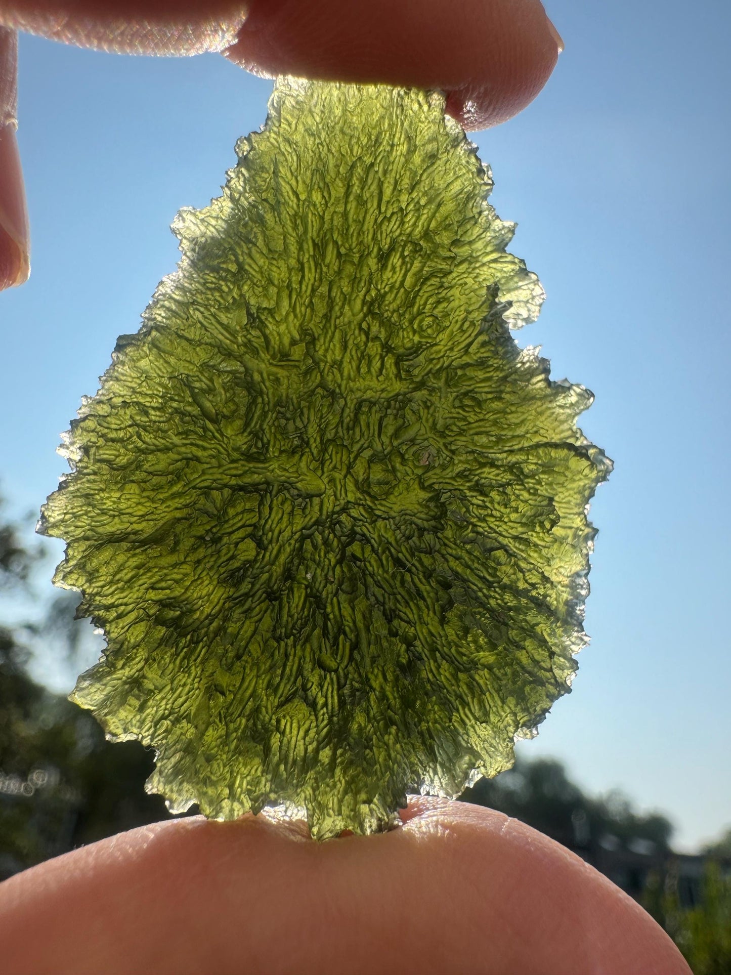 Collector Moldavite Specimen: Nesmen Les, Deep Texture (27.88g)