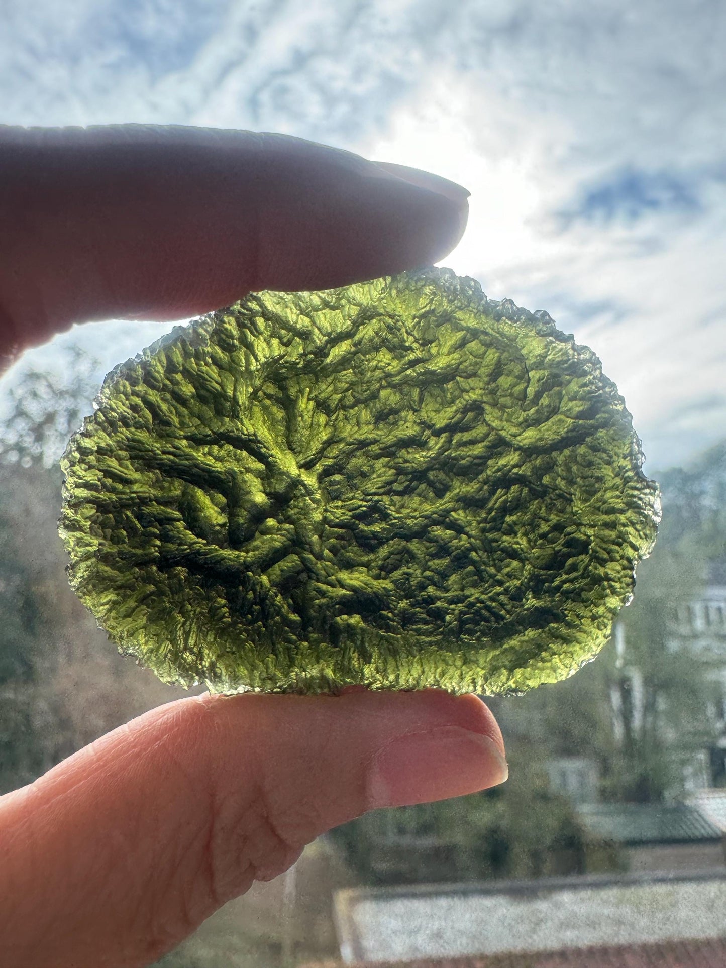 Extra Large Moldavite Crystal: 46.43g Chlum Collector Piece