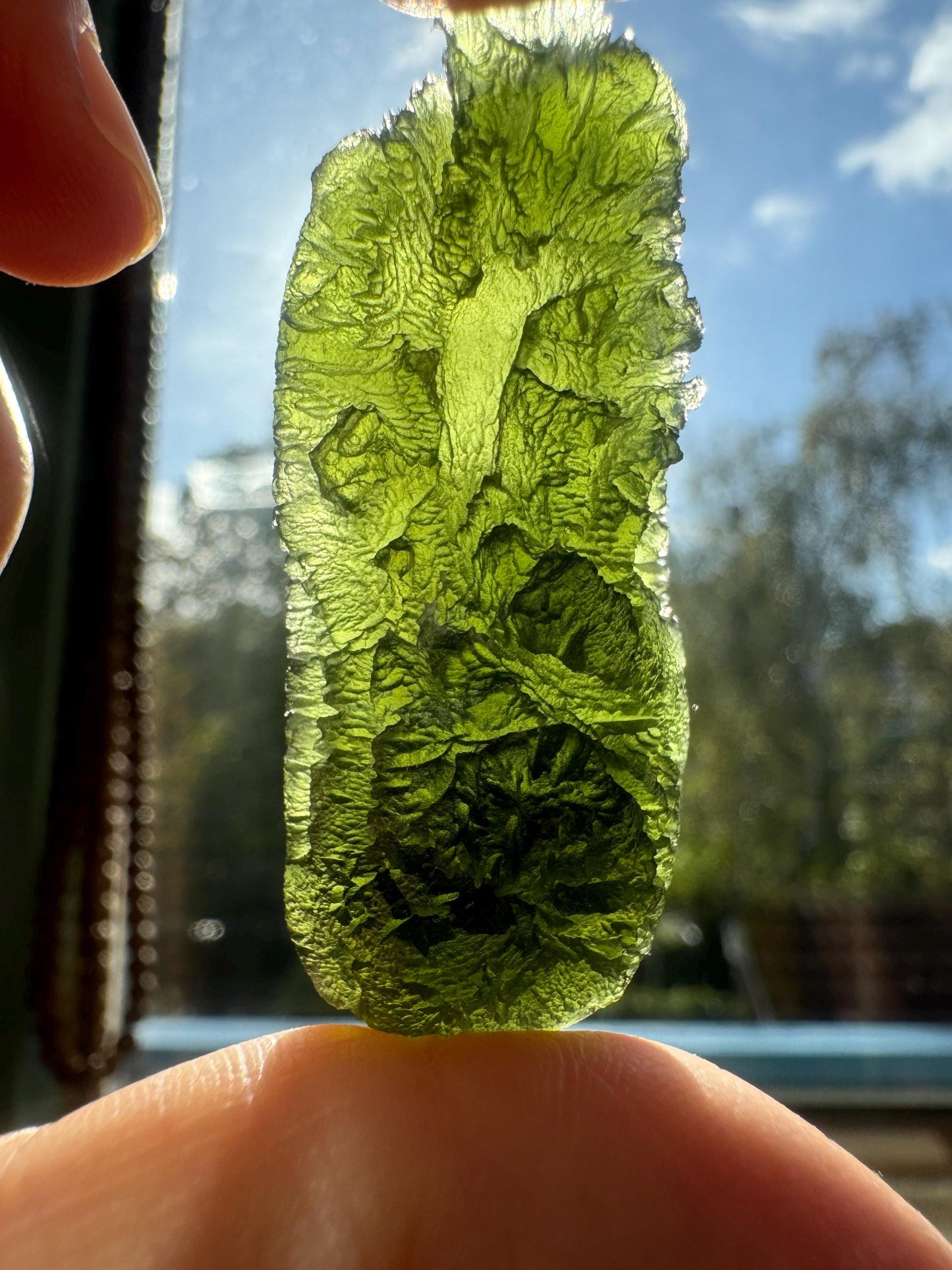 16.93g Brusna Moldavite: AAA Collector Quality, Rare Location