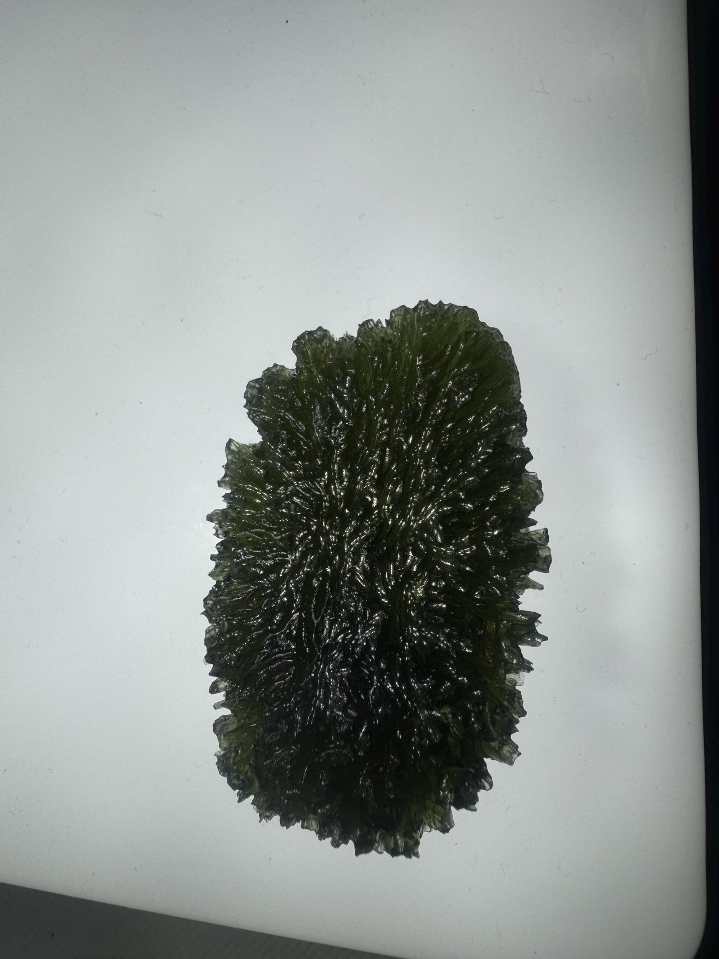 Authentic moldavite Paryz 45.68g museum grade no damages. Rare size