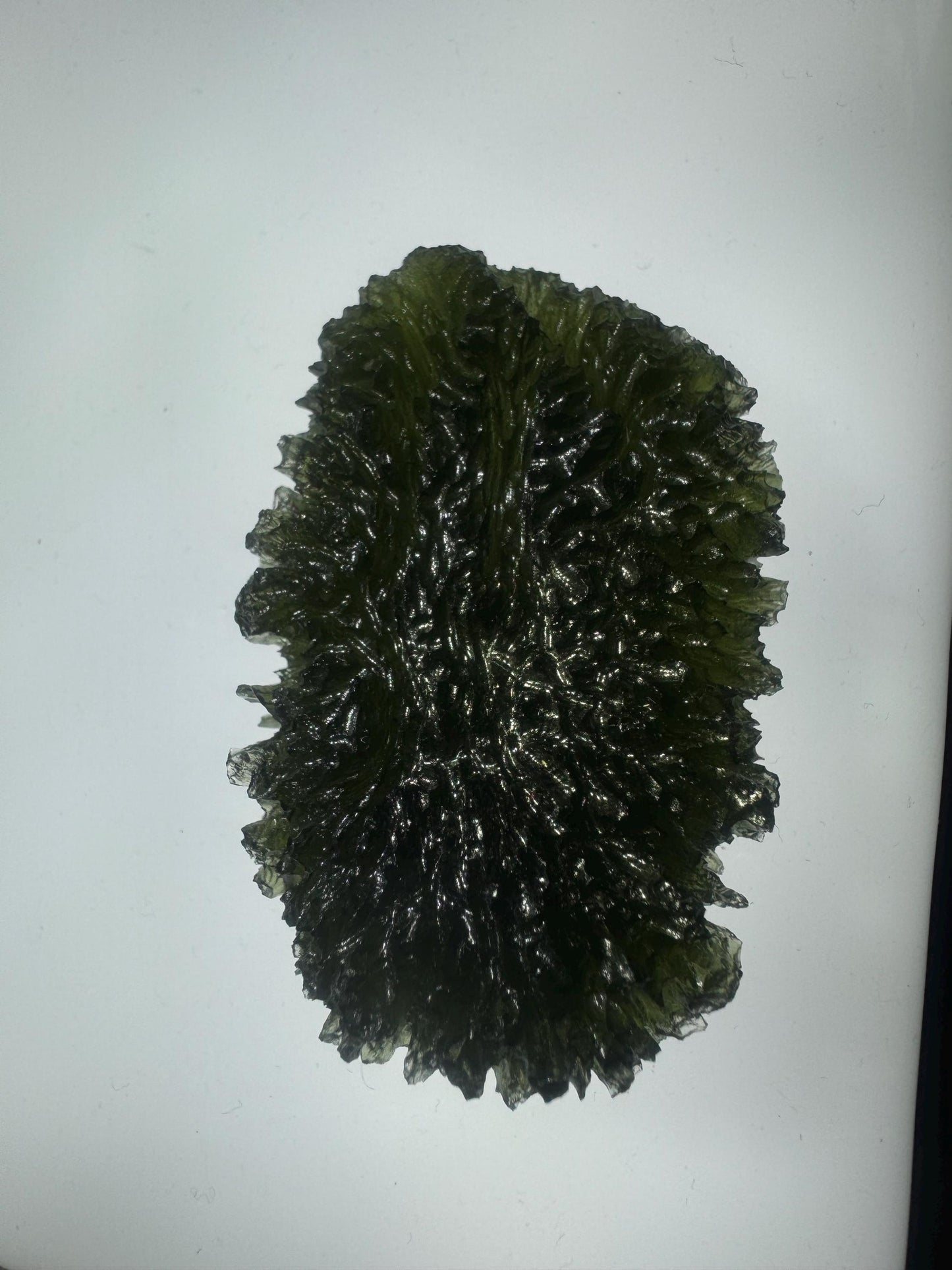Authentic moldavite Paryz 45.68g museum grade no damages. Rare size