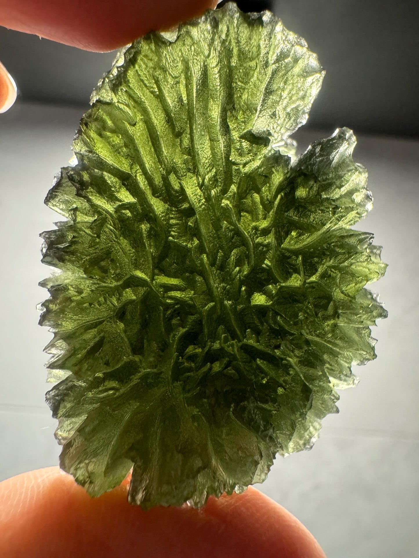 Moldavite besednice Jezkovna 27g rainbow only available at moldaviteEU