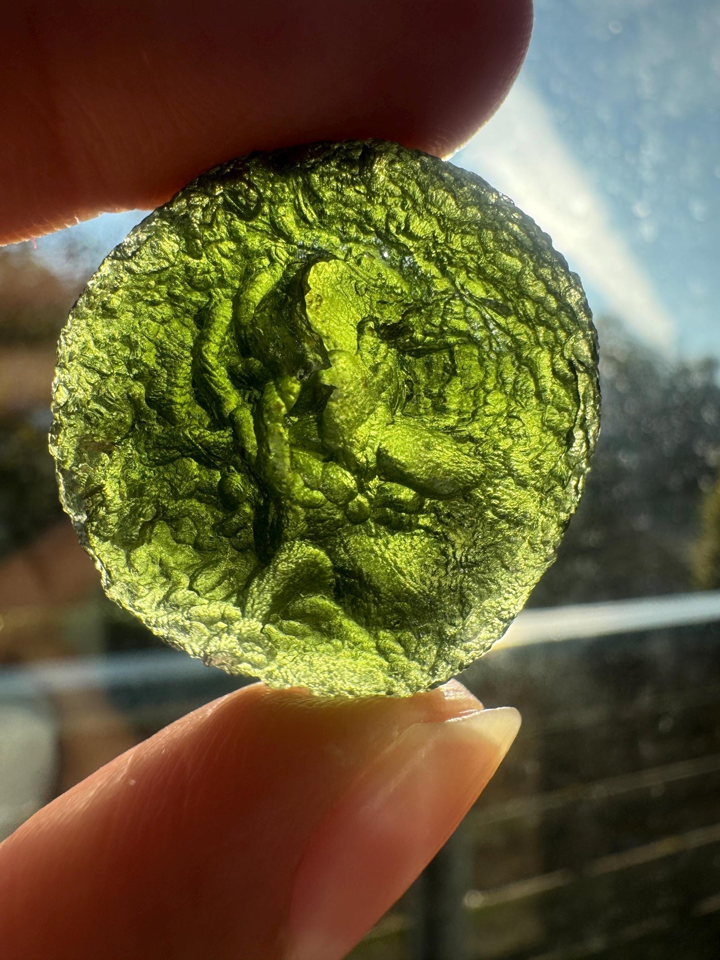 Authentic Moldavite disc Chlum location 12.87g