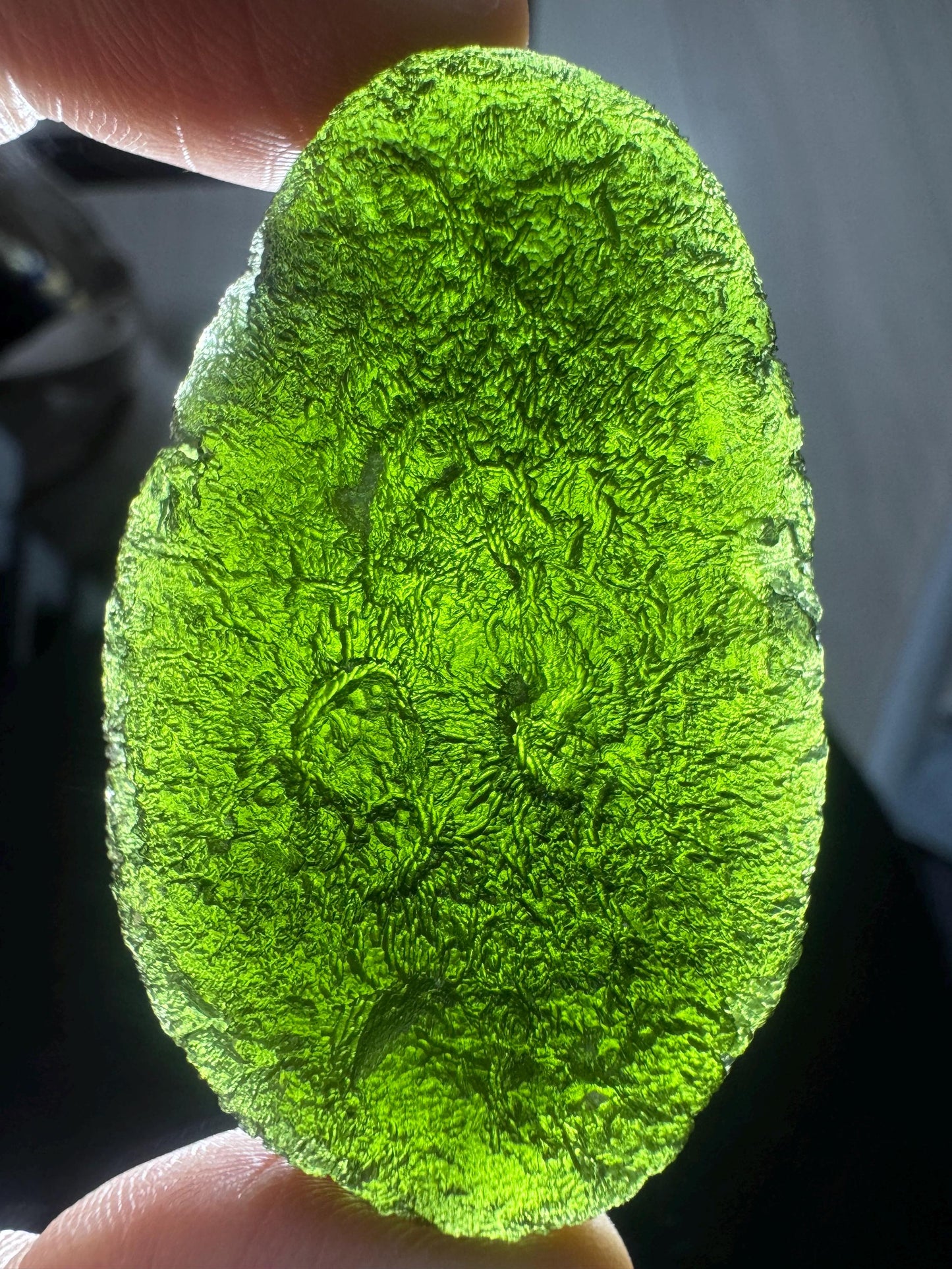 Authentic moldavite Zatacka 45.54g museum grade no damages poison green avocado shape