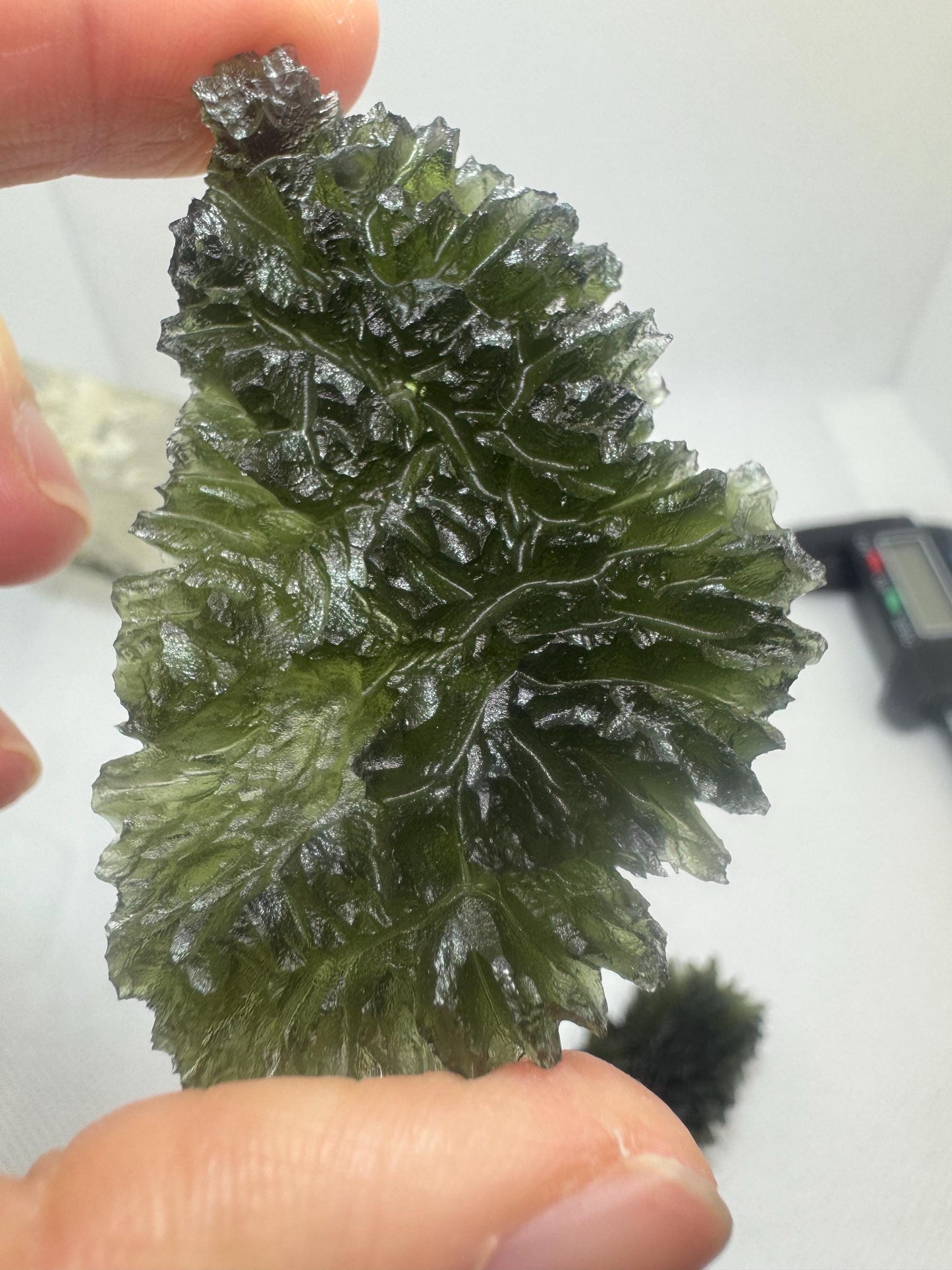 Moldavite besednice Jezkovna 23.71g deep hedgehog texture
