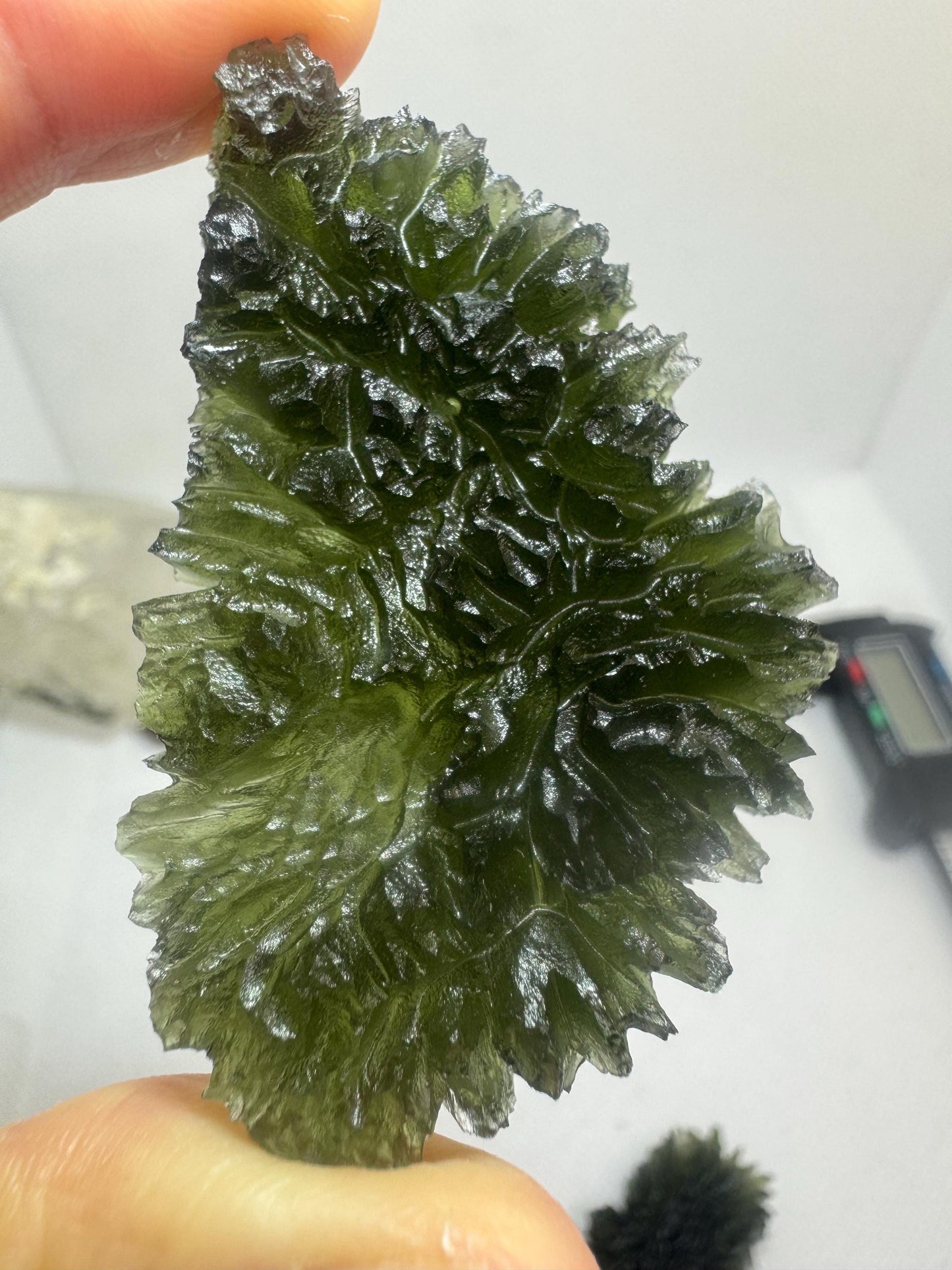 Moldavite besednice Jezkovna 23.71g deep hedgehog texture