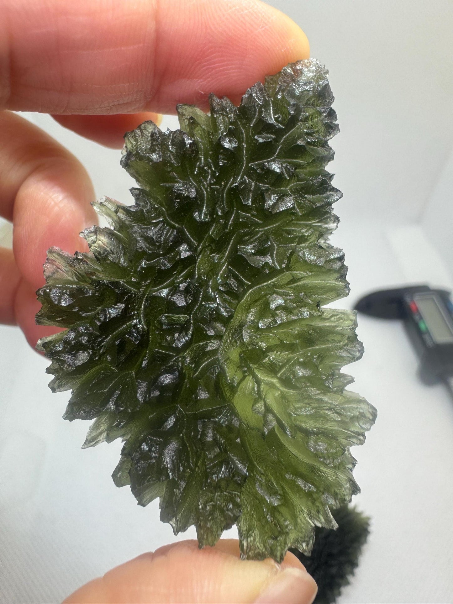 Moldavite besednice Jezkovna 23.71g deep hedgehog texture