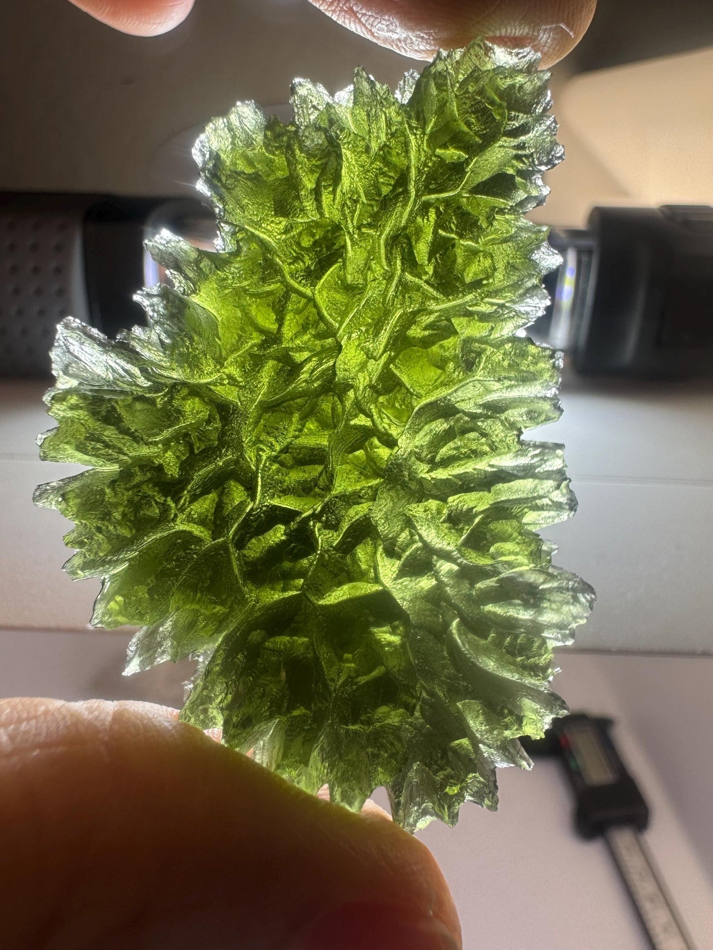 Moldavite besednice Jezkovna 23.71g deep hedgehog texture