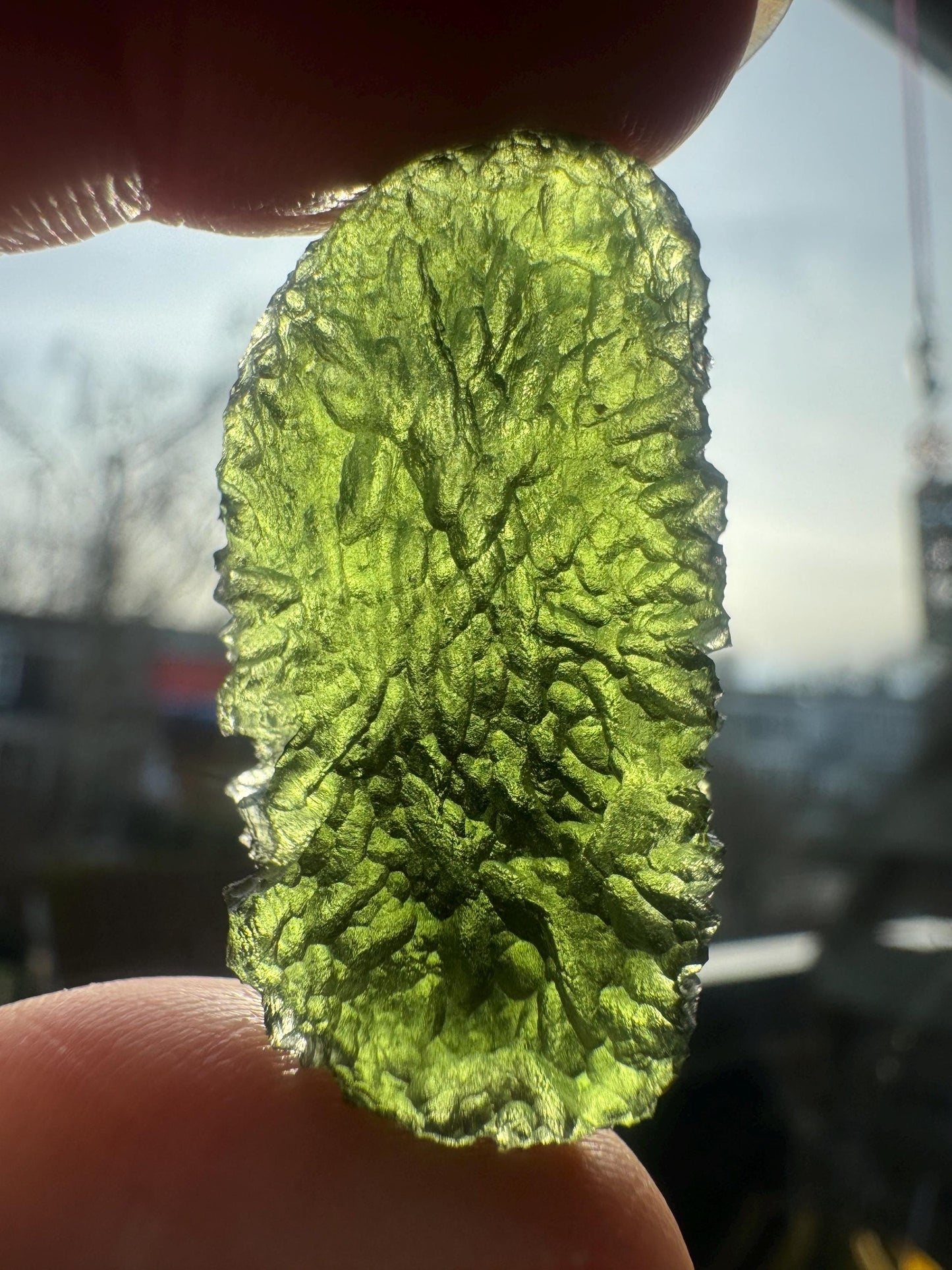 Authentic Moldavite Crystal: 7.7g, Nesmen Les Czech Republic