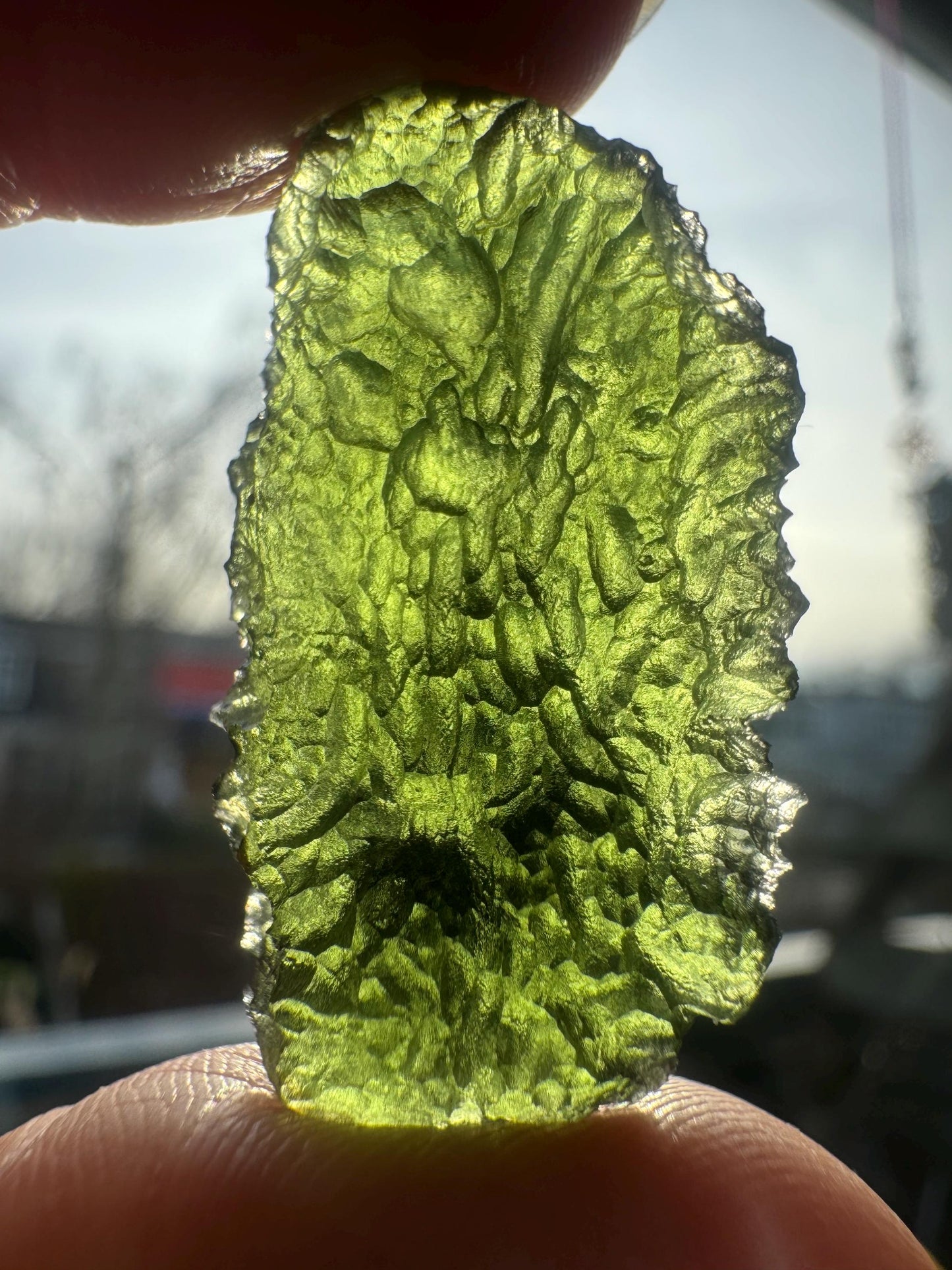 Authentic Moldavite Crystal: 7.7g, Nesmen Les Czech Republic