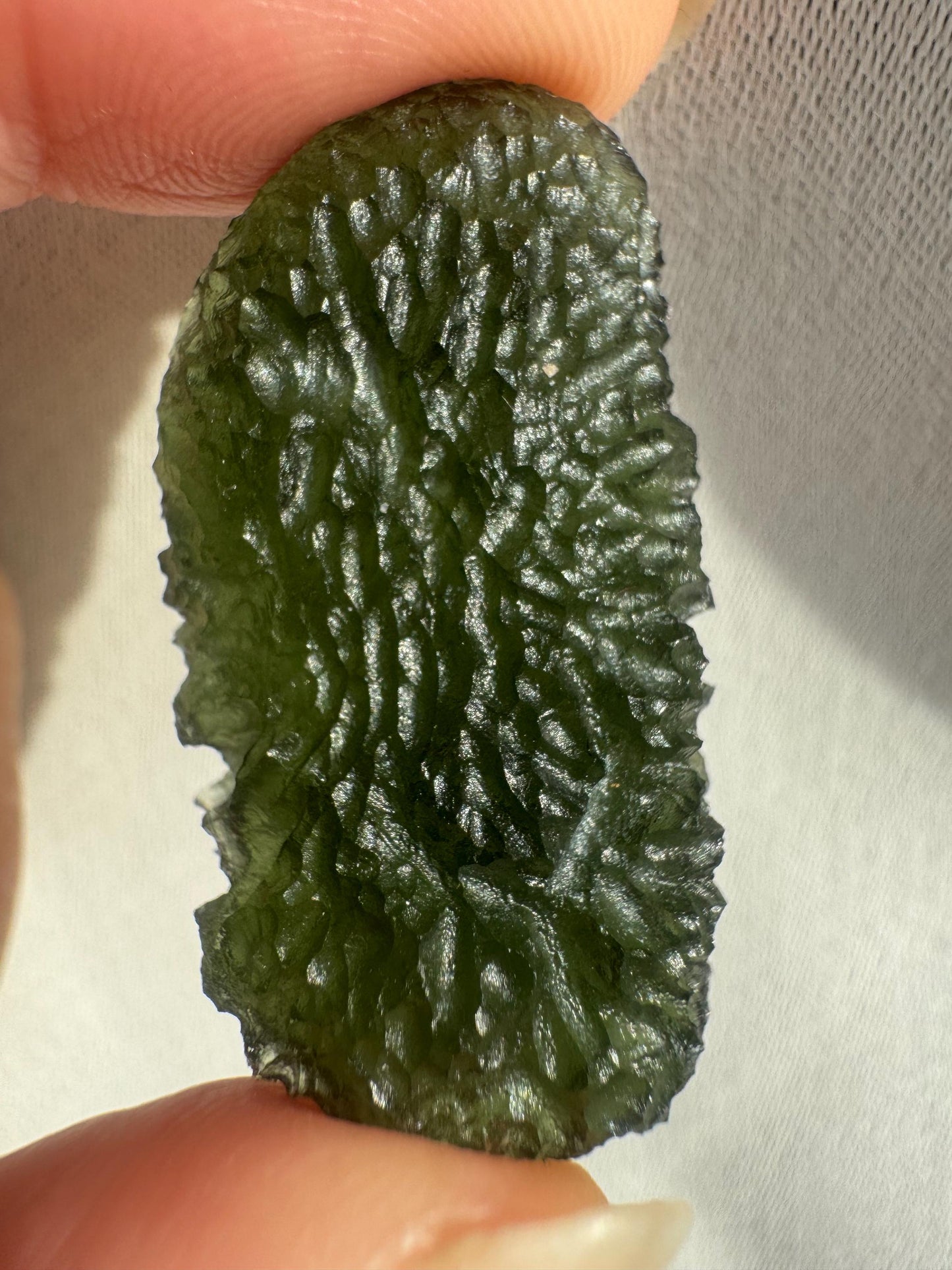 Authentic Moldavite Crystal: 7.7g, Nesmen Les Czech Republic