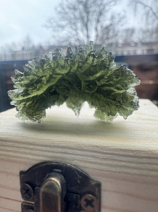 11.73g  Moldavite Besednice Jezkovna very rare, headhoge grade AAA