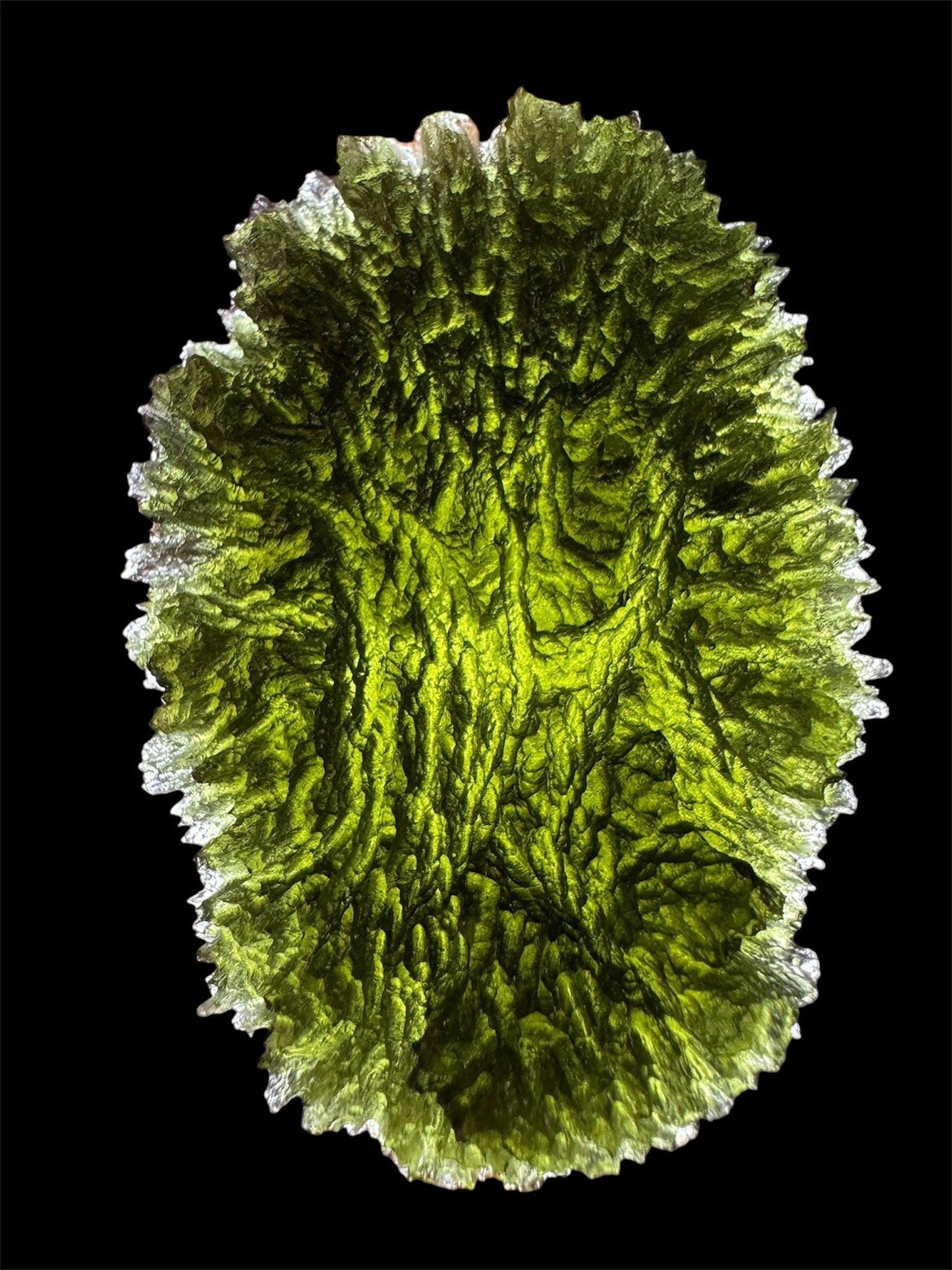 48.23g Paryz moldavite oval shape museum grade AAA super rare