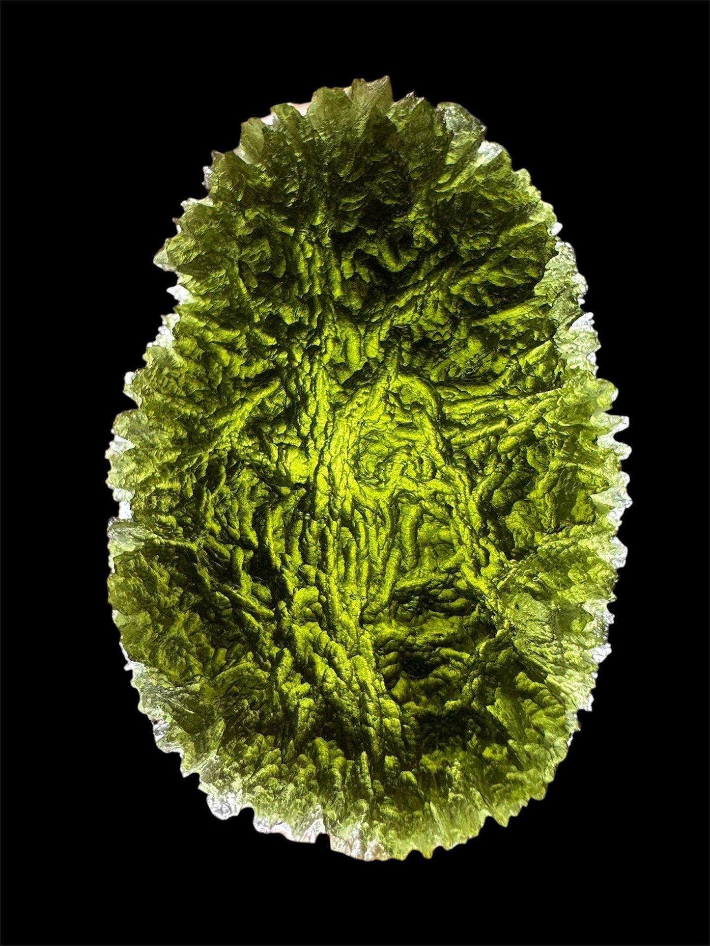 48.23g Paryz moldavite oval shape museum grade AAA super rare