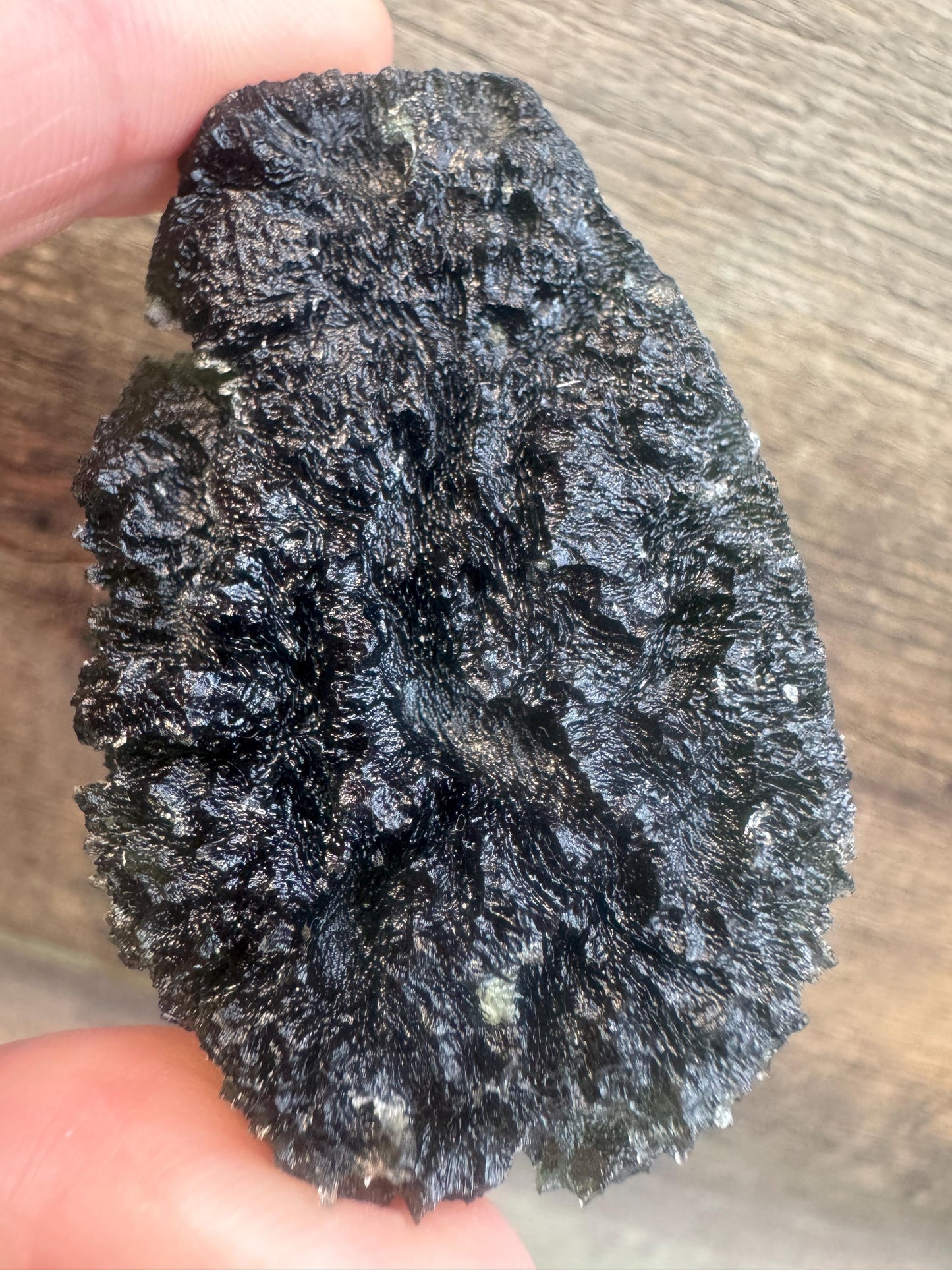 40g Authentic Moldavite from Location Besednice pod kostelem no damages AAA