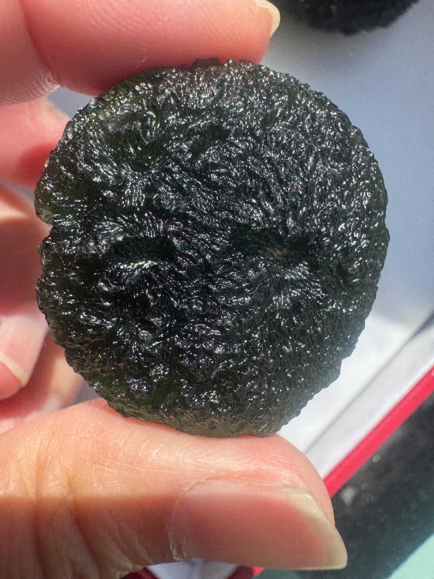 30.77g Authentic Forest Green Moldavite Disc: Czech Healing Crystal
