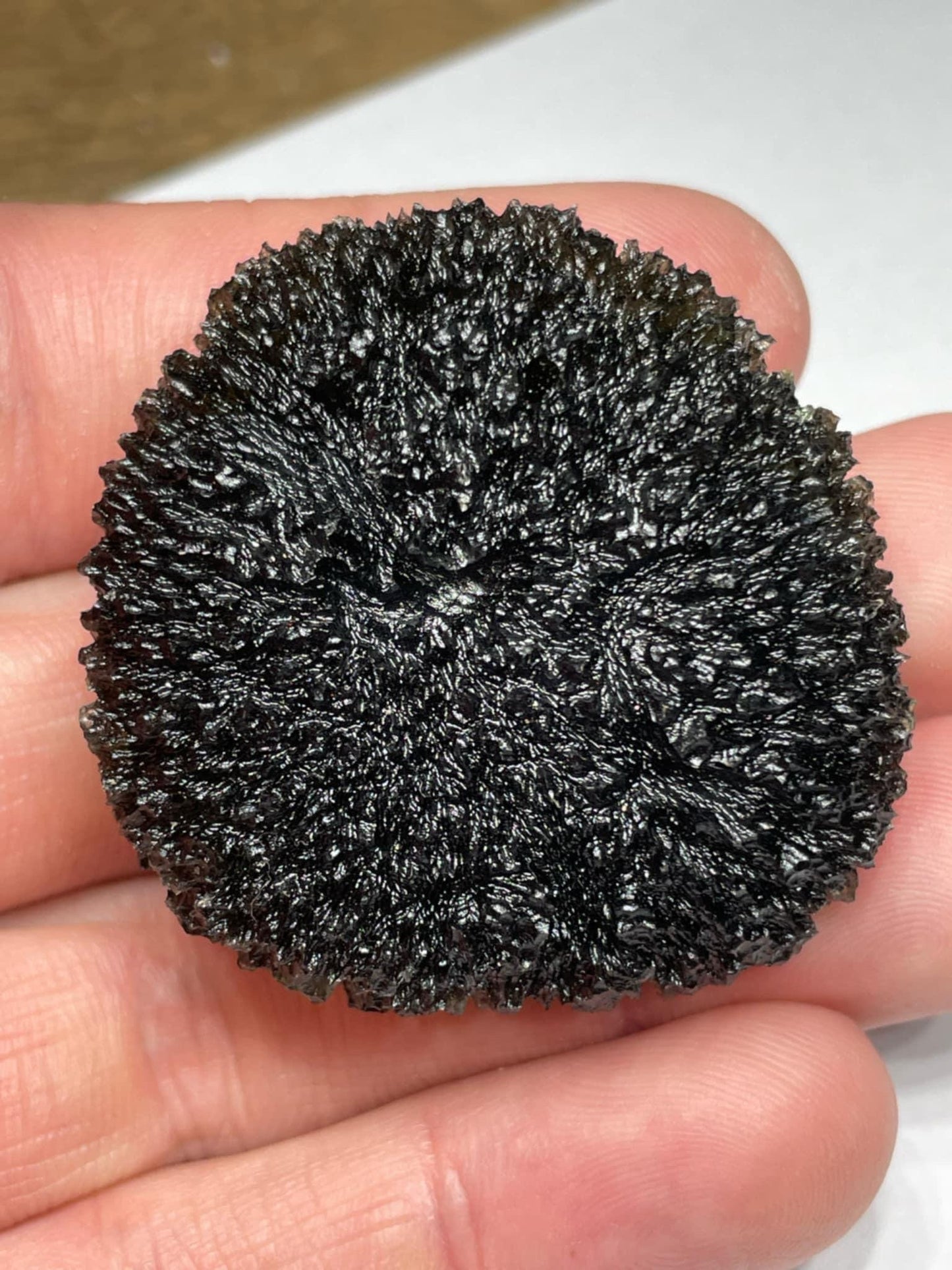 50.4g maroušek field XL spiky texture no damages museum grade
