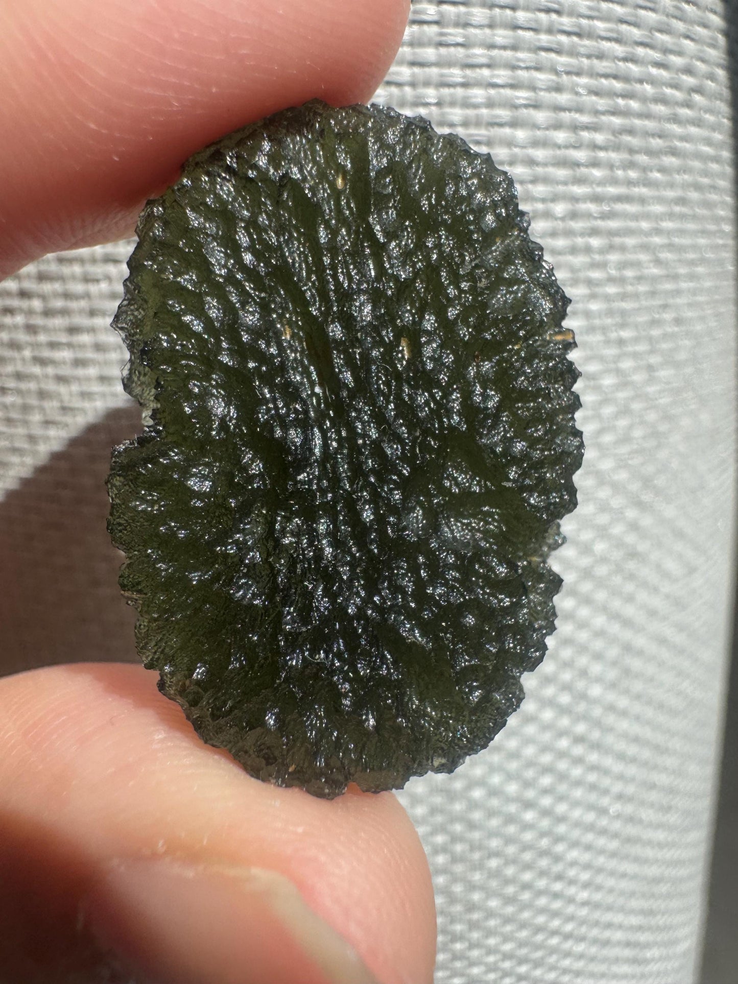 8.9g Moldavite Chlum . Compact shape and AAA quality