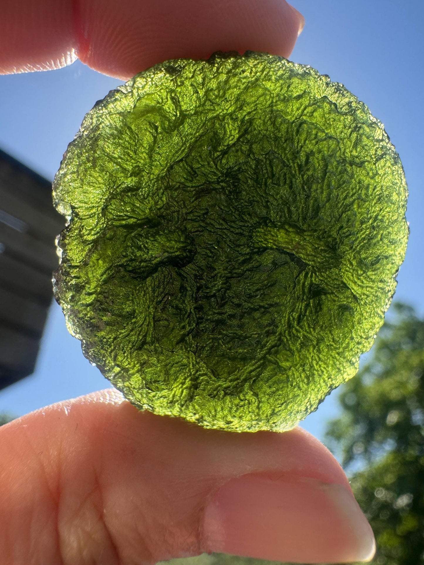 30.77g Authentic Forest Green Moldavite Disc: Czech Healing Crystal