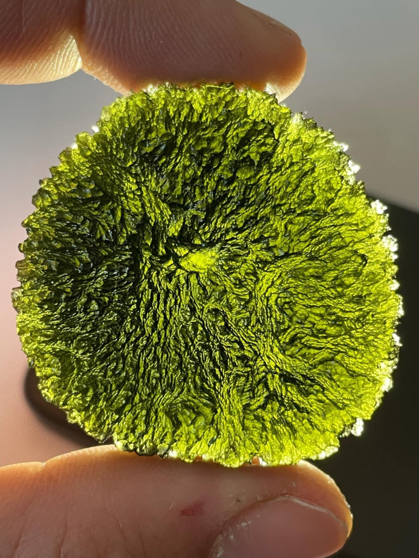 50.4g maroušek field XL spiky texture no damages museum grade