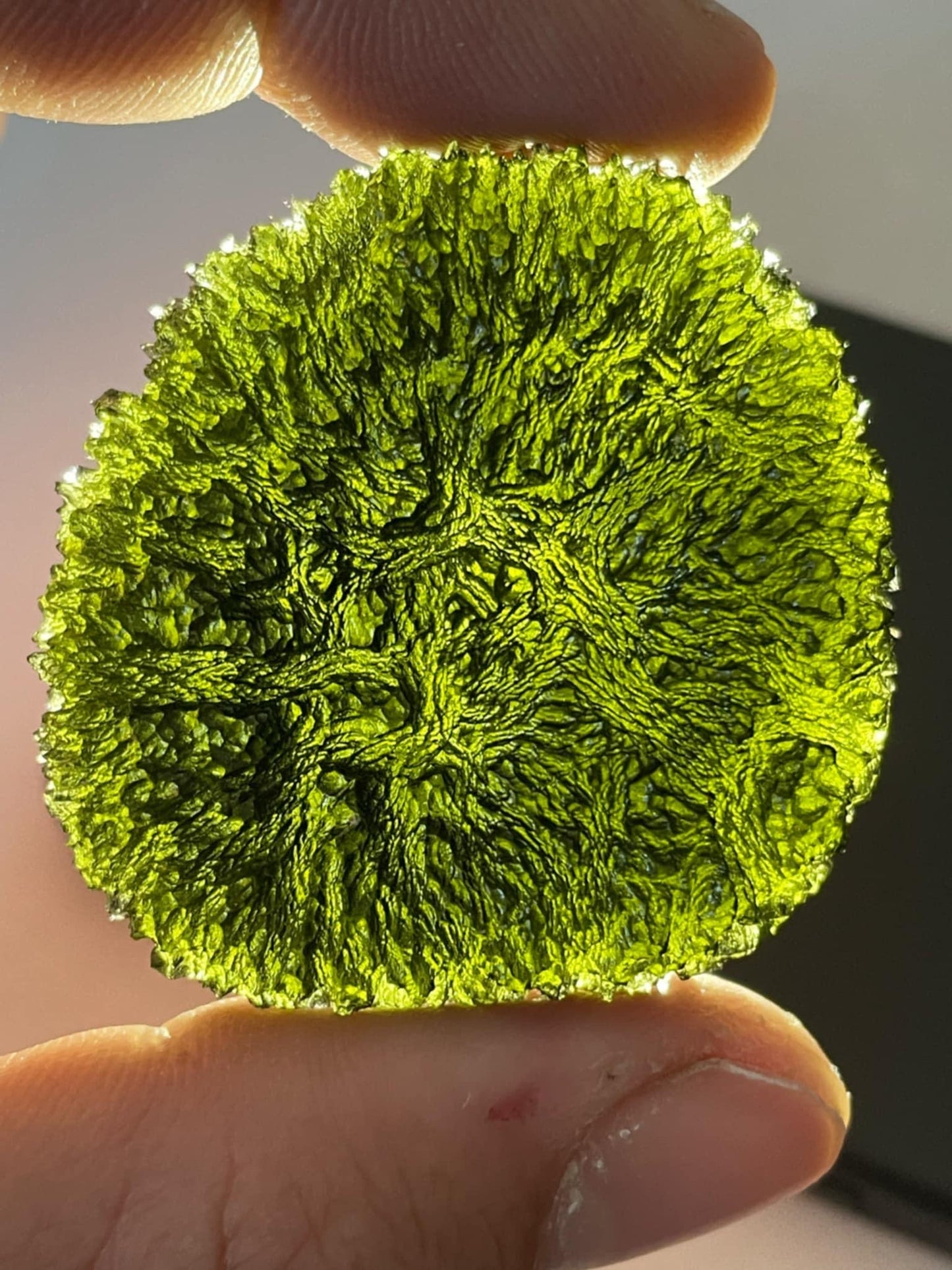 50.4g maroušek field XL spiky texture no damages museum grade