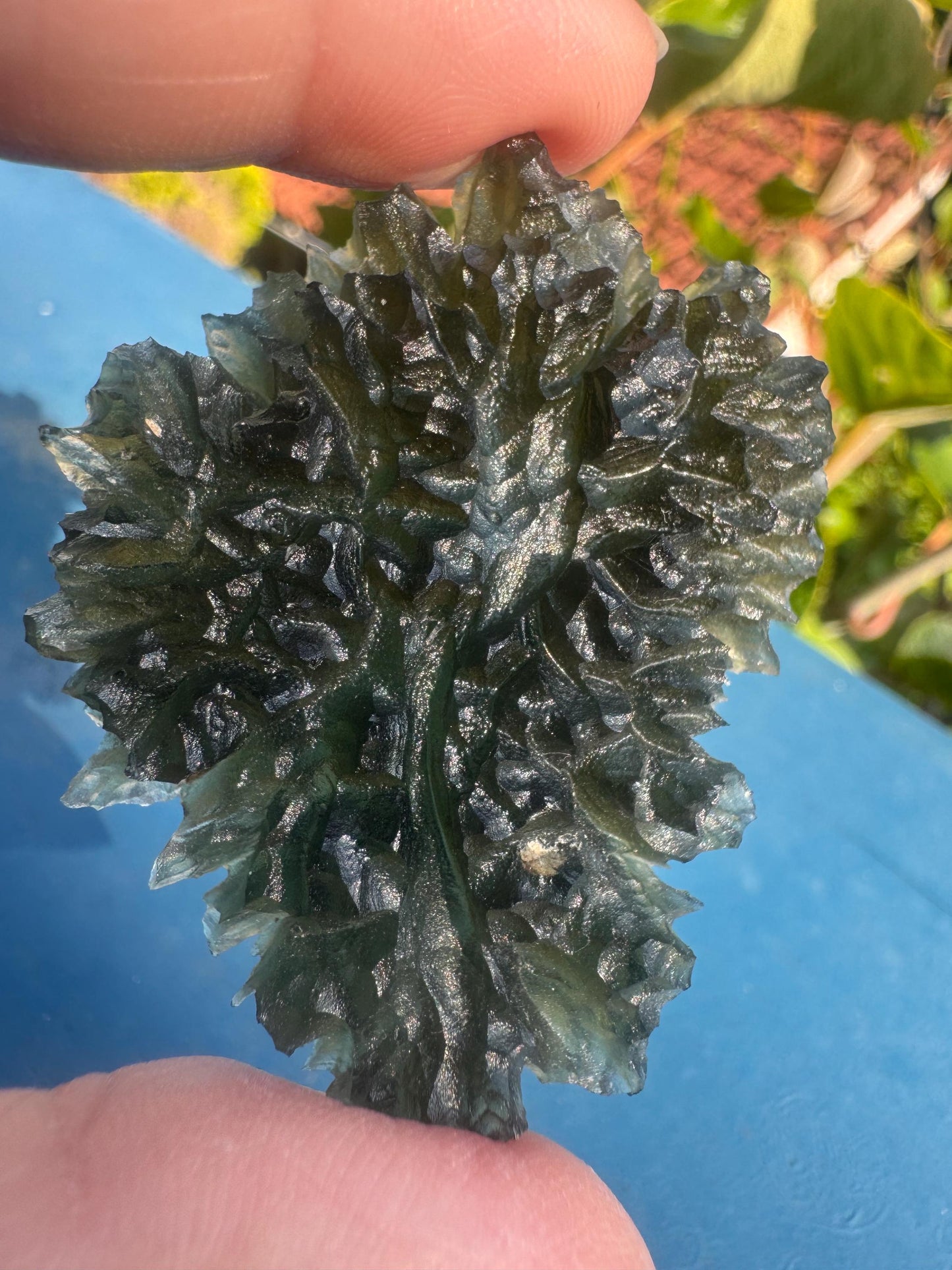 Moldavite besednice jezkovna 18,1g heart