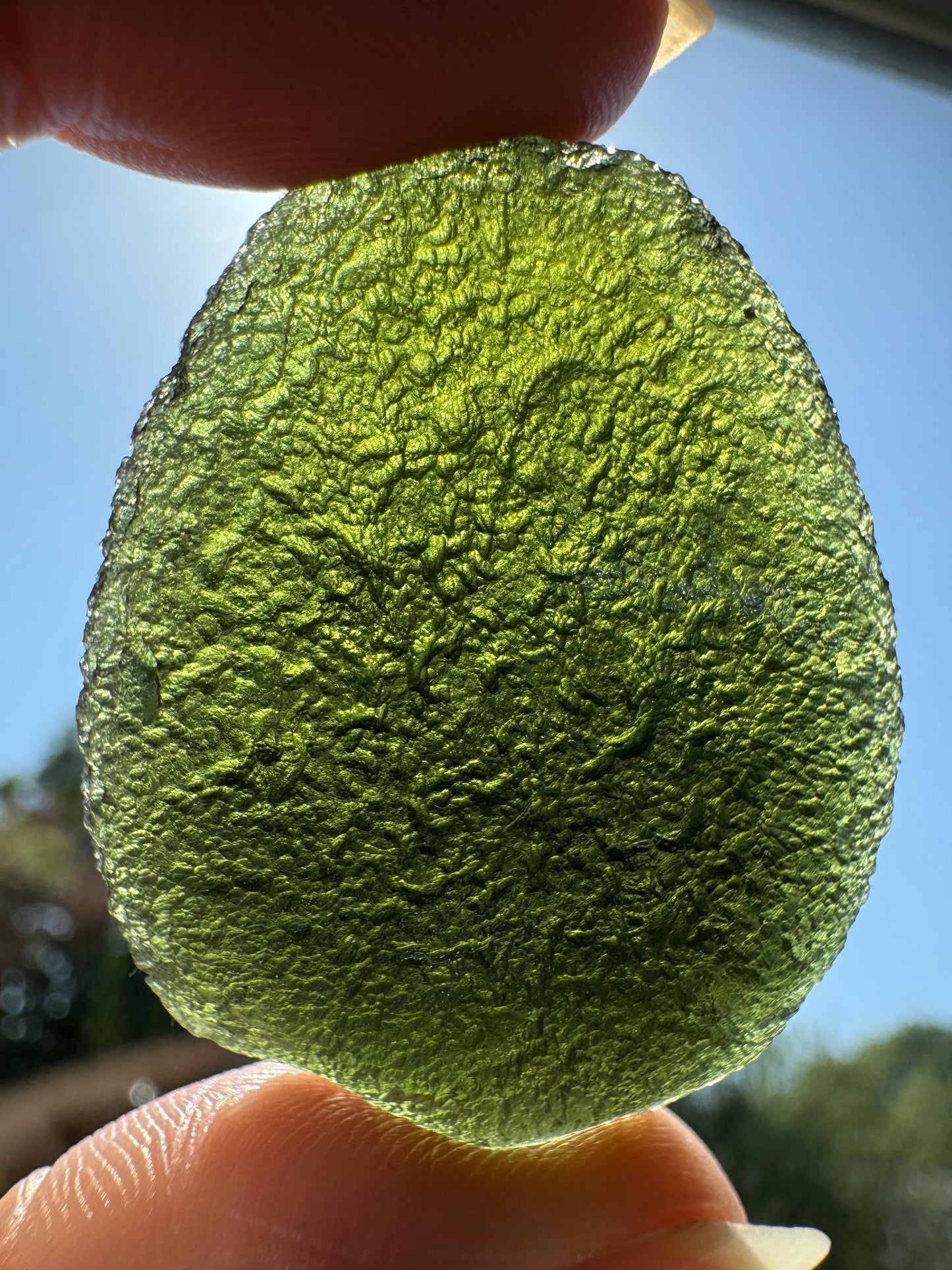 Zatacka Moldavite: 20.27g Green Collector Piece, Avocado Shape