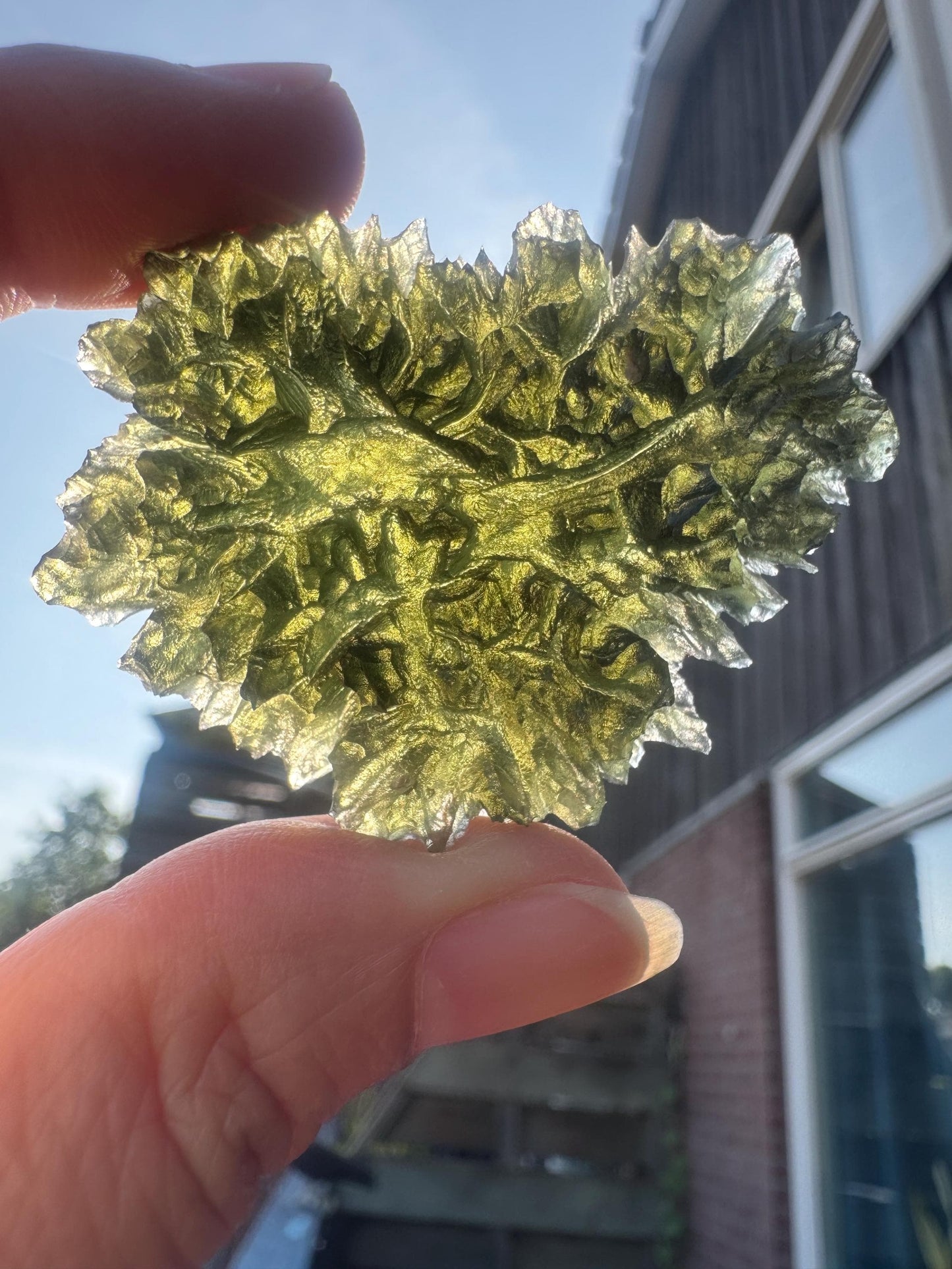 Moldavite besednice jezkovna 18,1g heart