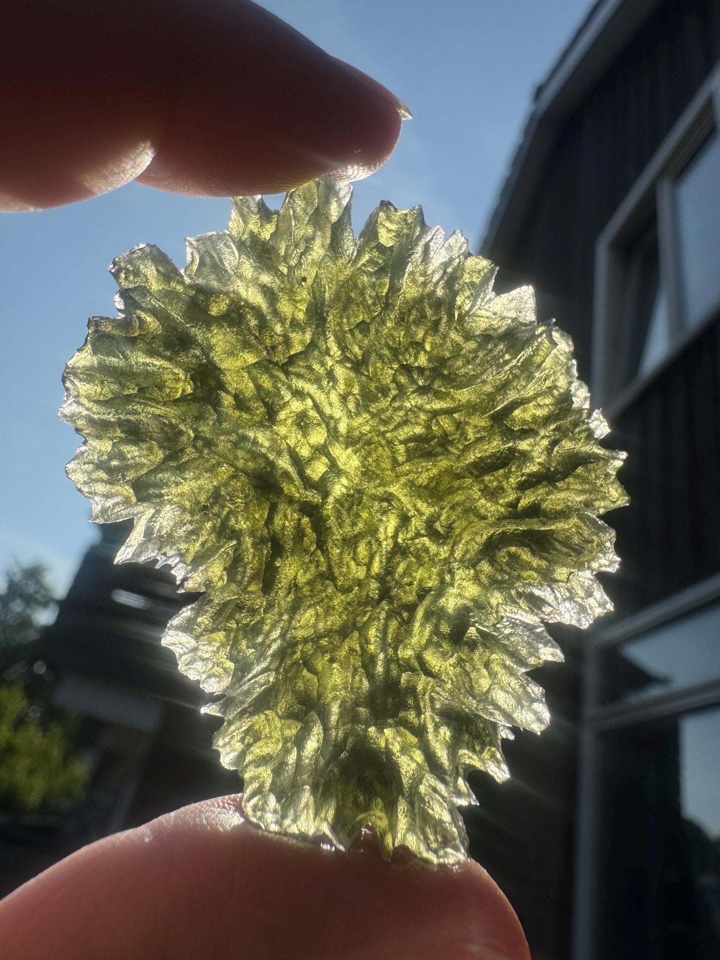 Moldavite besednice jezkovna 18,1g heart