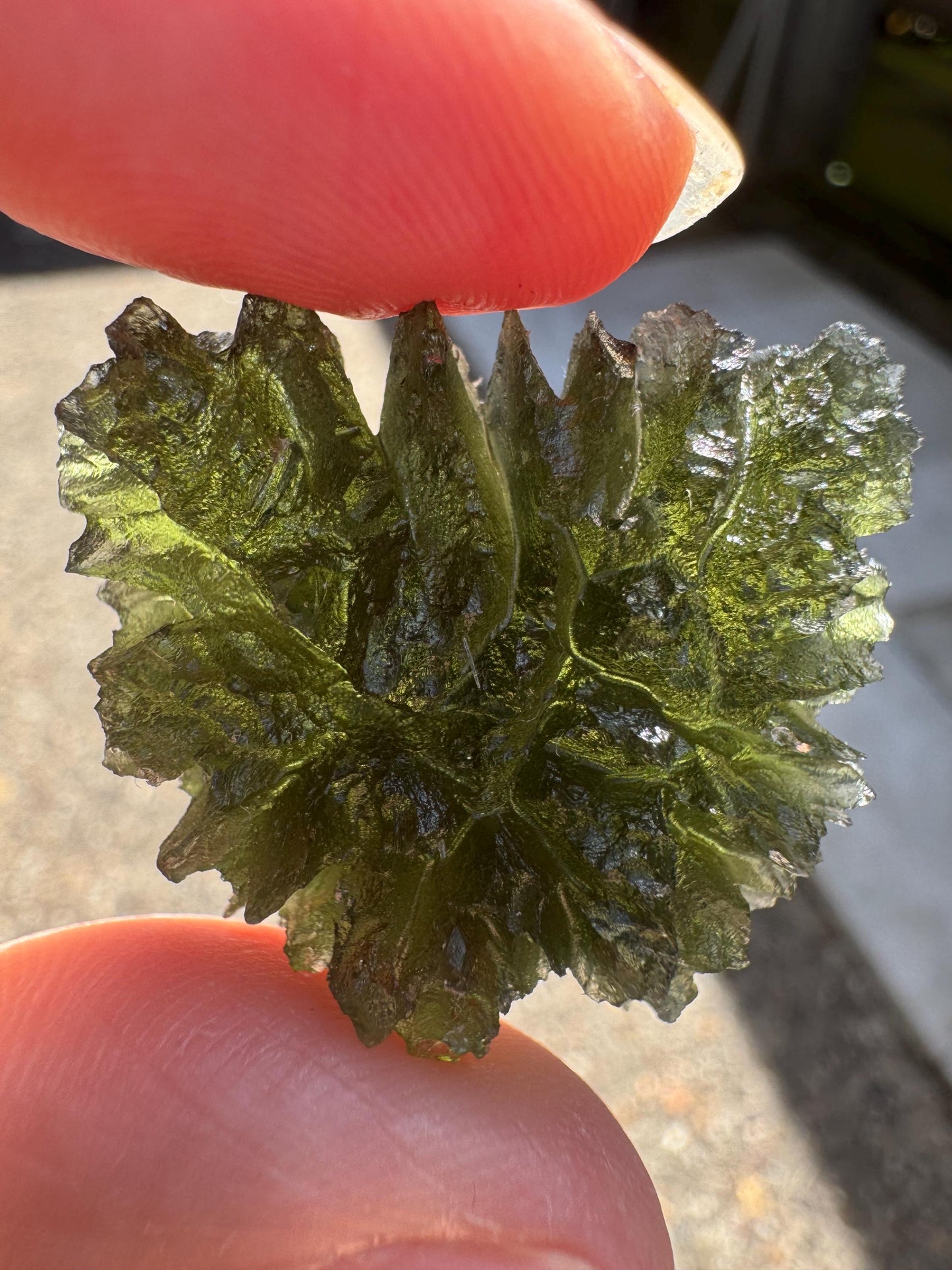 Besednice Jezkovna Moldavite: Deep Hedgehog Texture, 9.23g butterfly shape