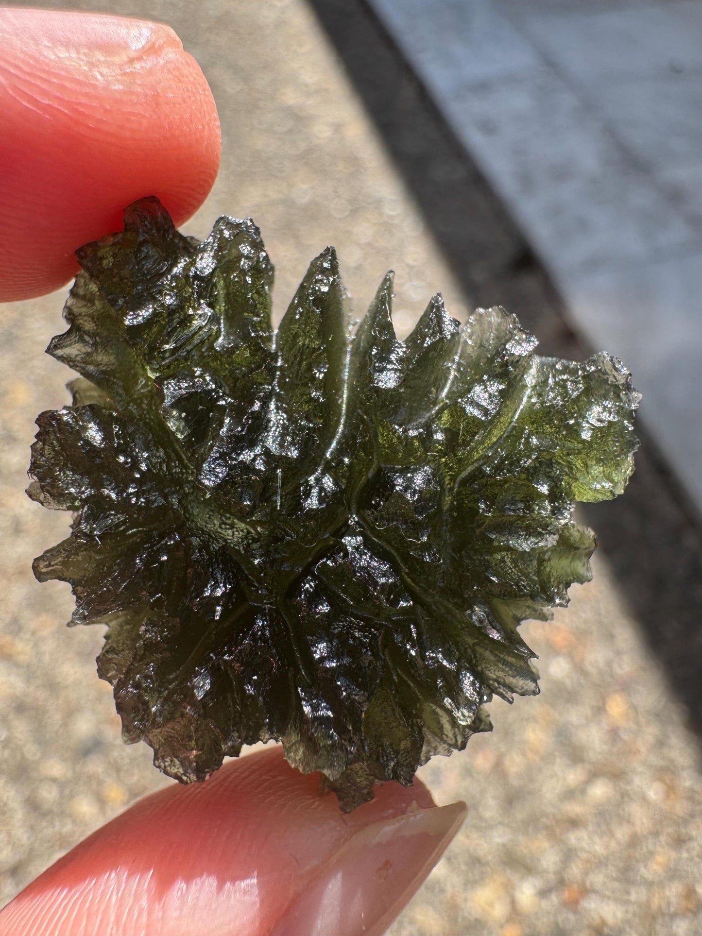 Besednice Jezkovna Moldavite: Deep Hedgehog Texture, 9.23g butterfly shape