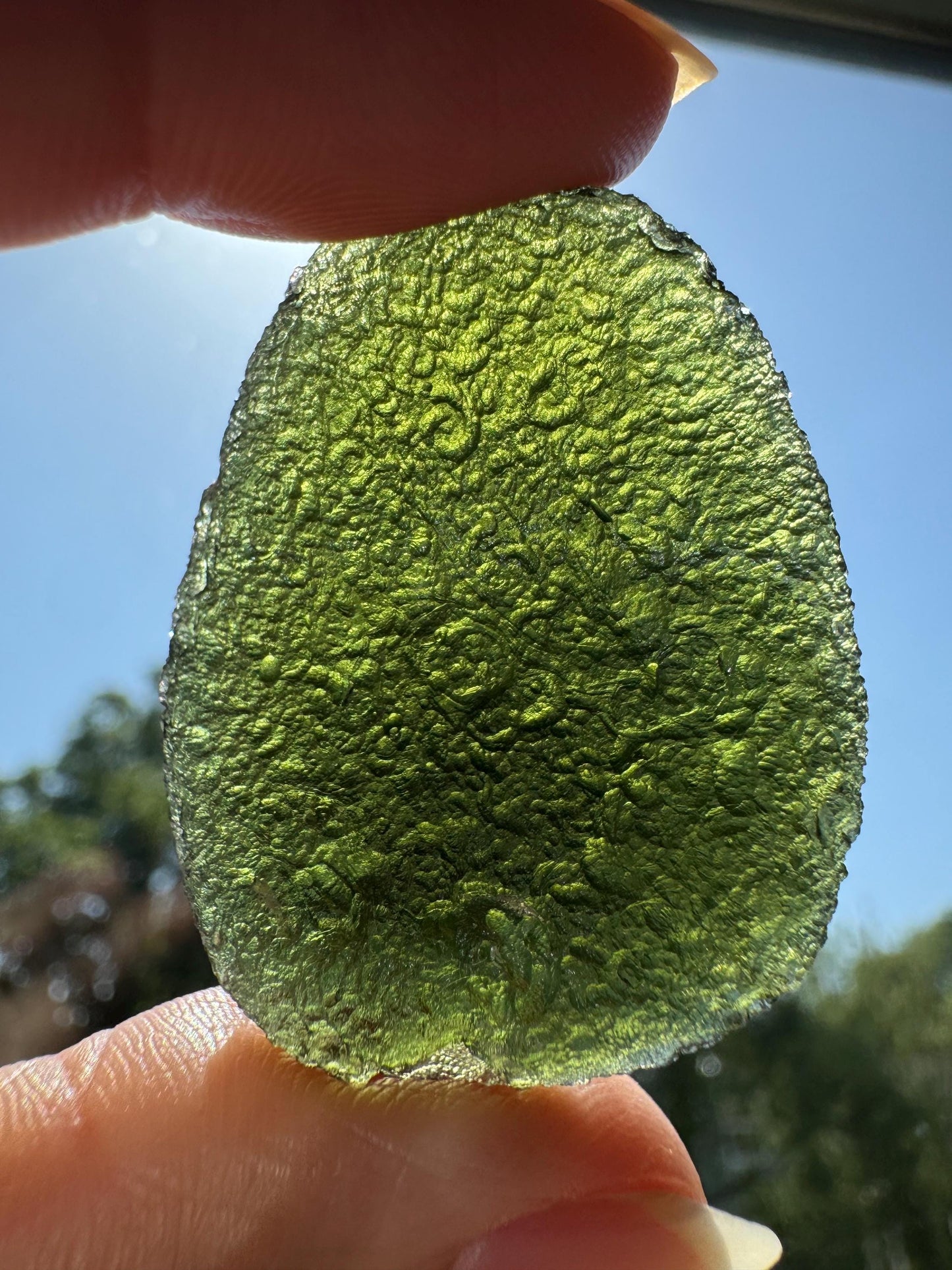 Zatacka Moldavite: 20.27g Green Collector Piece, Avocado Shape