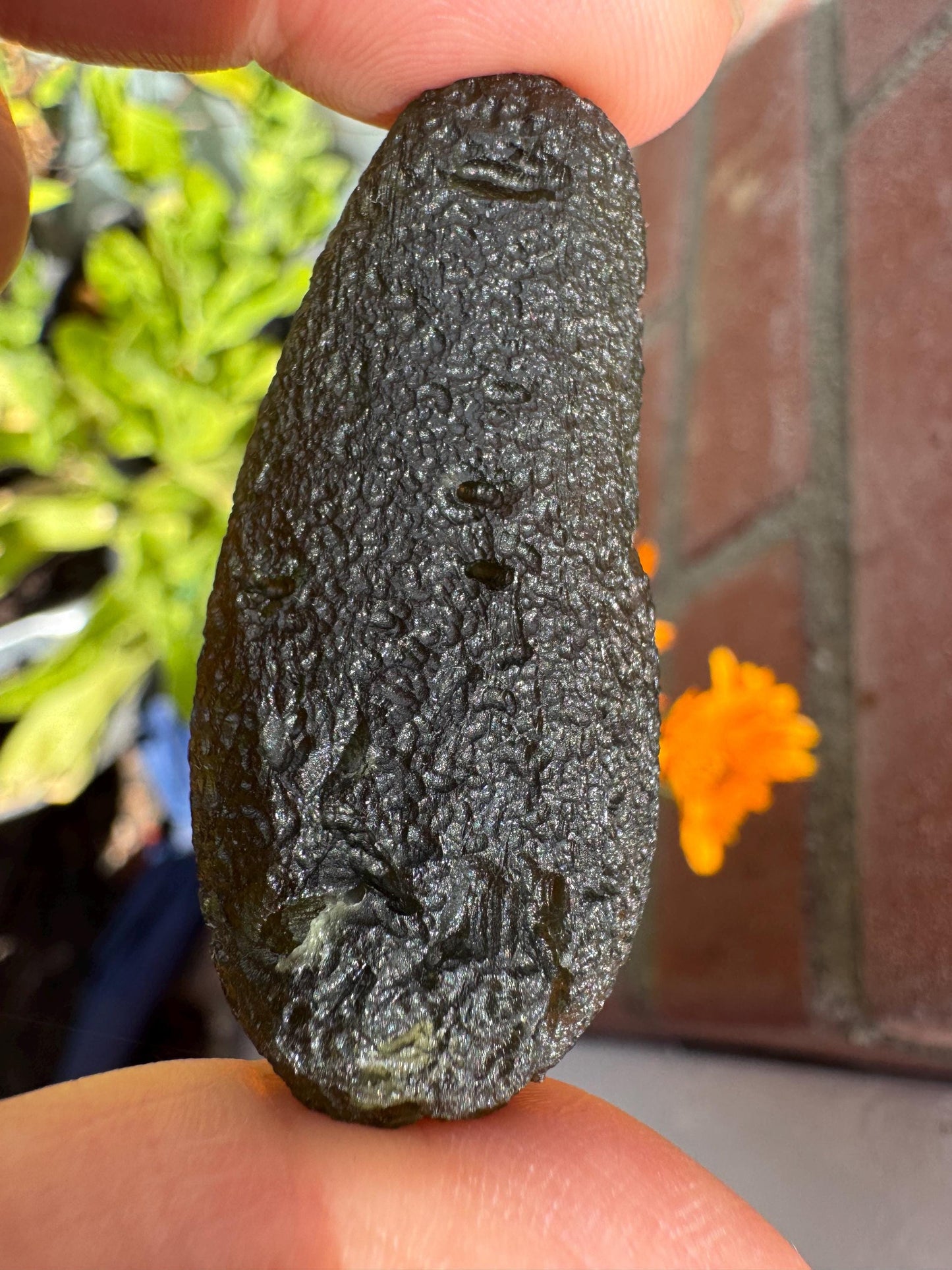 17.24g Genuine Moldavite | Chlum Czech Republic | Rare Tektite | Raw Natural Moldavite | Collector’s Gemstone