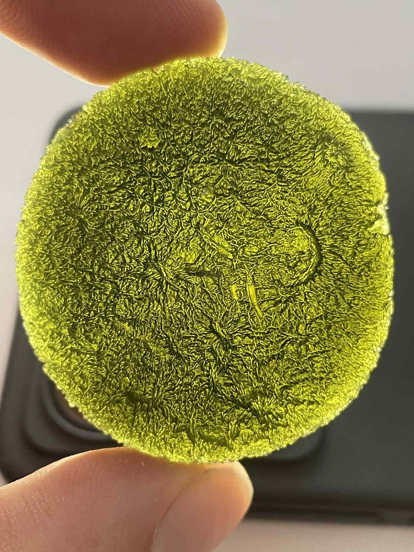 Museum Grade Moldavite Disc Shape, 42.05g from Zatacka
