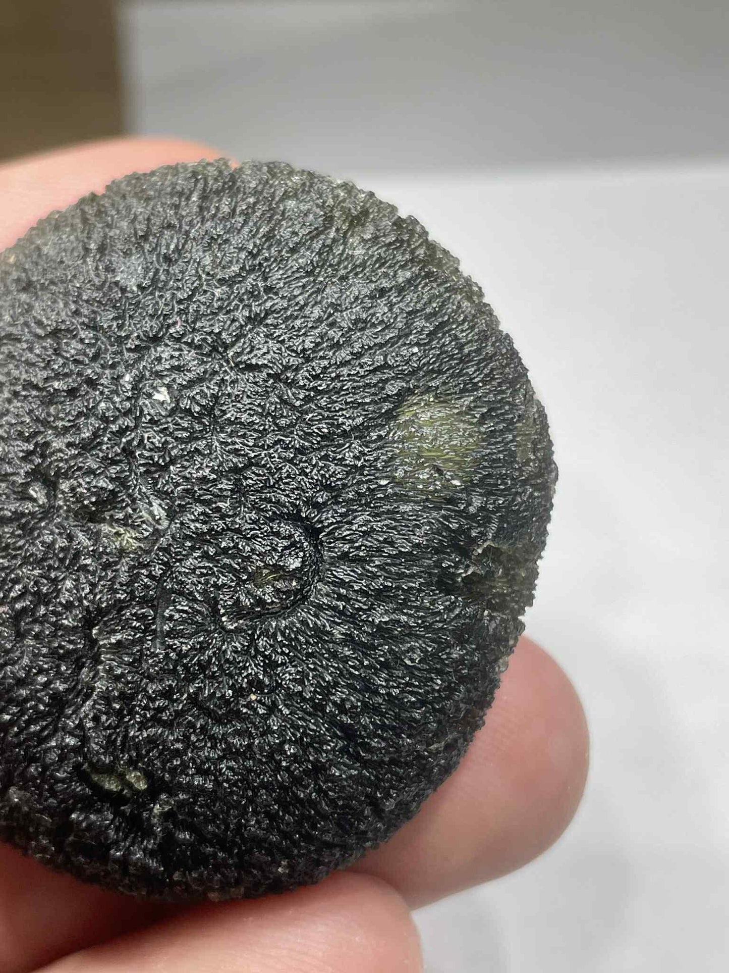 Museum Grade Moldavite Disc Shape, 42.05g from Zatacka