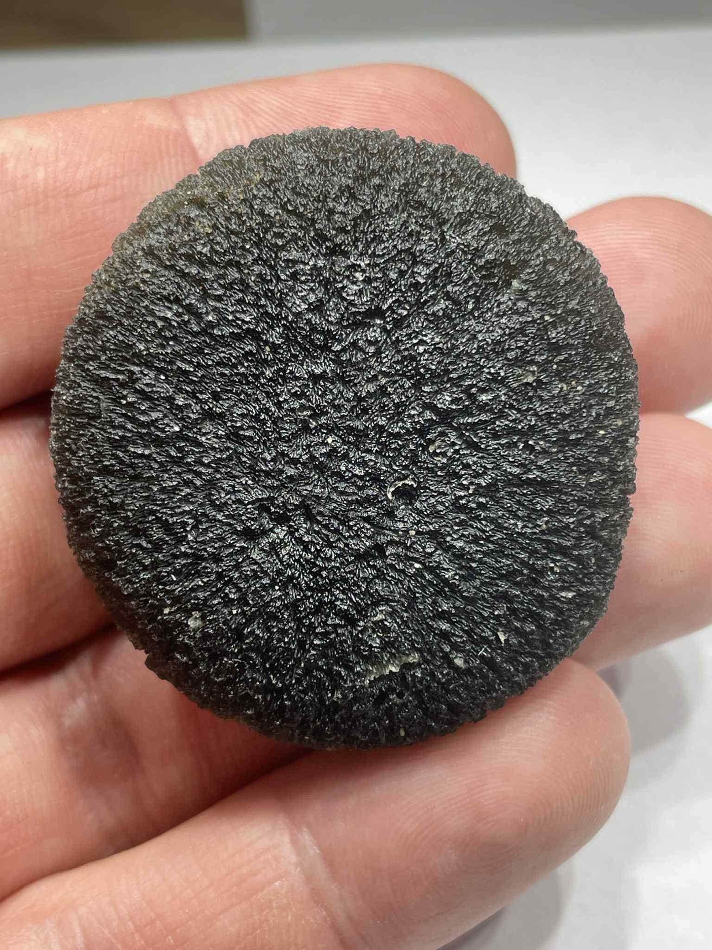 Museum Grade Moldavite Disc Shape, 42.05g from Zatacka