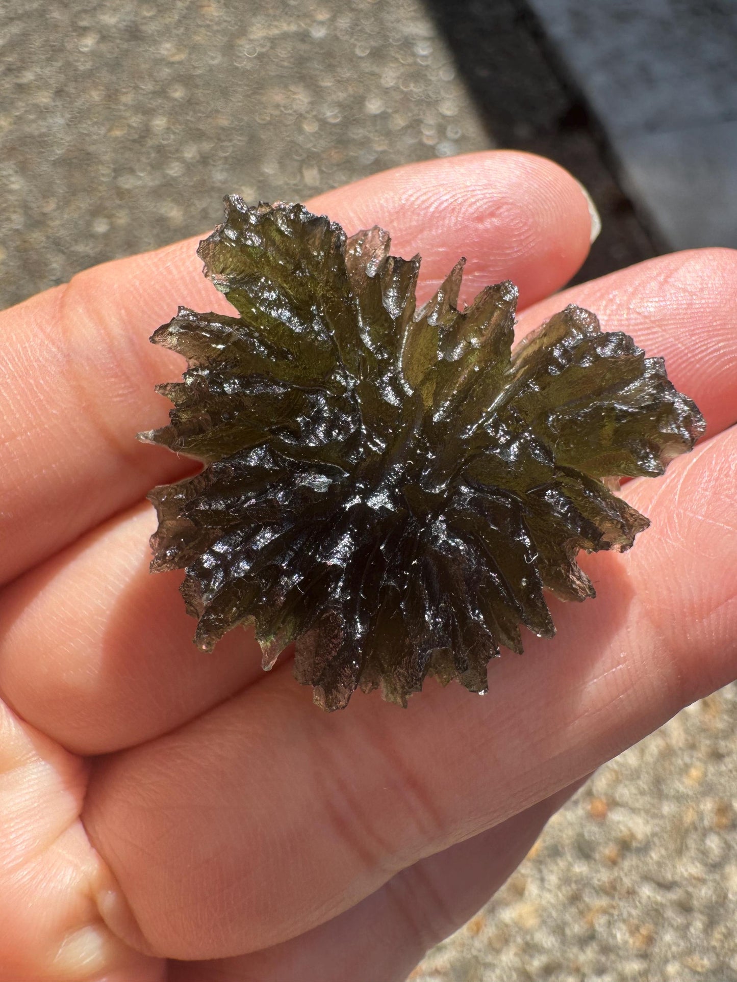 Besednice Jezkovna Moldavite: Deep Hedgehog Texture, 9.23g butterfly shape