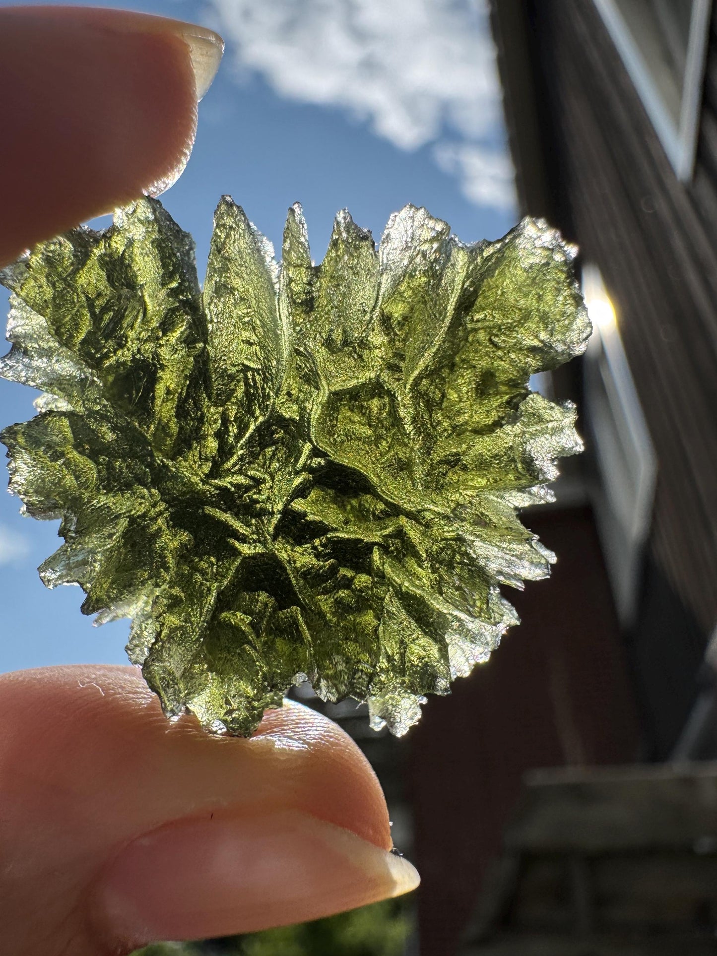 Besednice Jezkovna Moldavite: Deep Hedgehog Texture, 9.23g butterfly shape