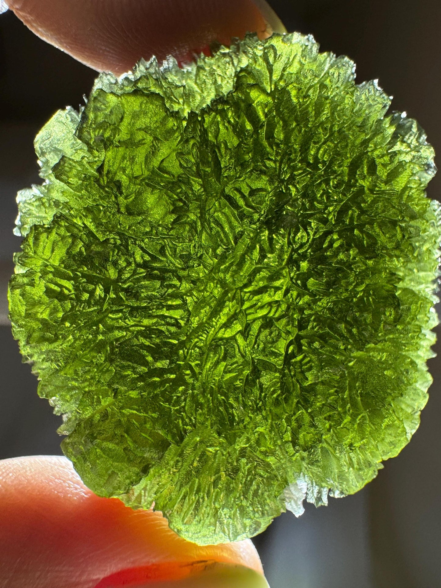 25.38g Krasejovka Moldavite, Disc Shape, Collector Grade