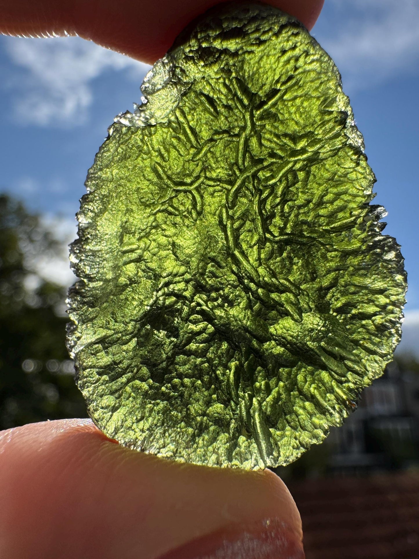 Natural Moldavite Crystal: Koroseky, Czech Republic - 15.04g