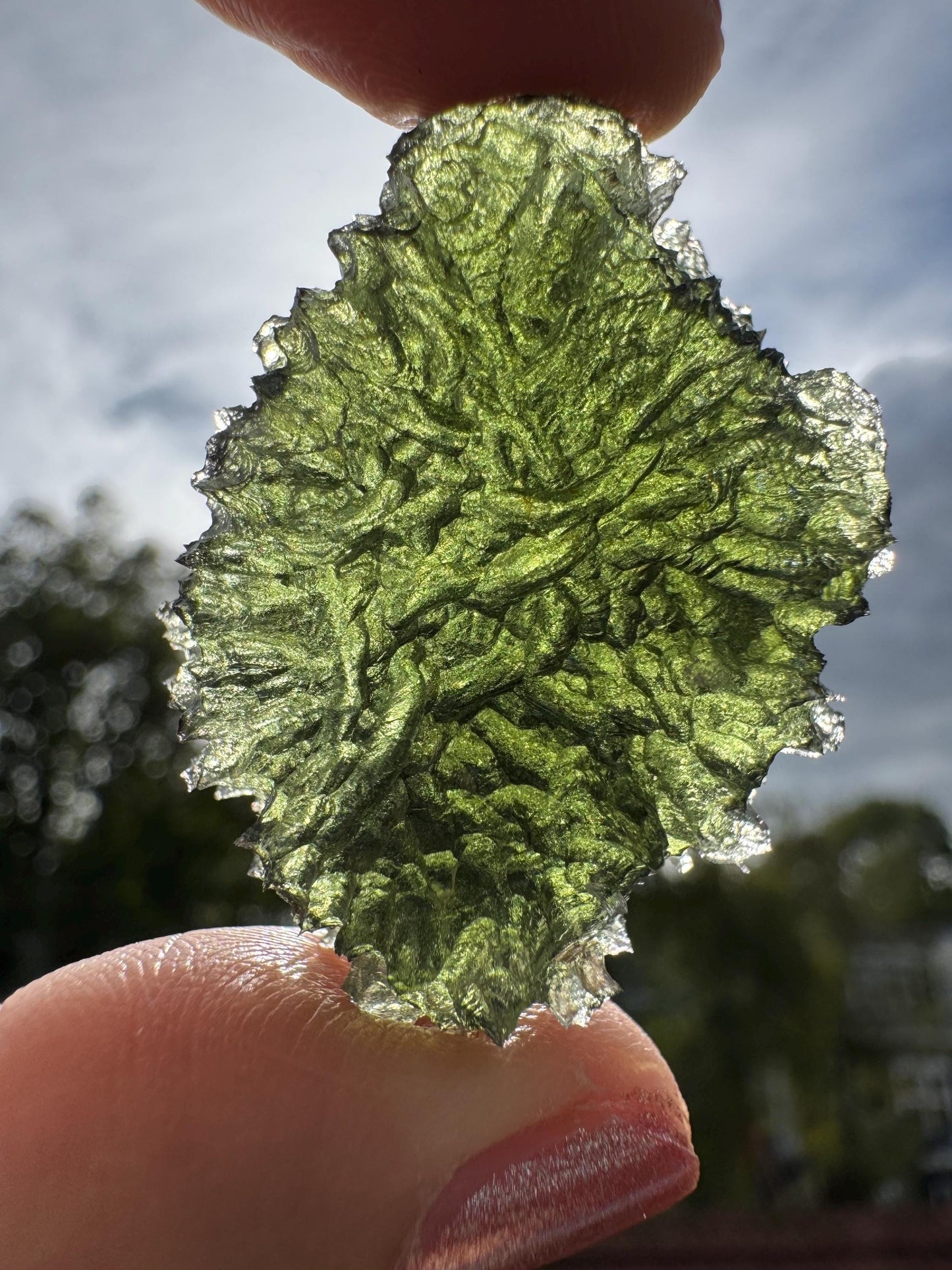 Vrabče Crater Moldavite: 14.62g Rare Olive-Green Tektite