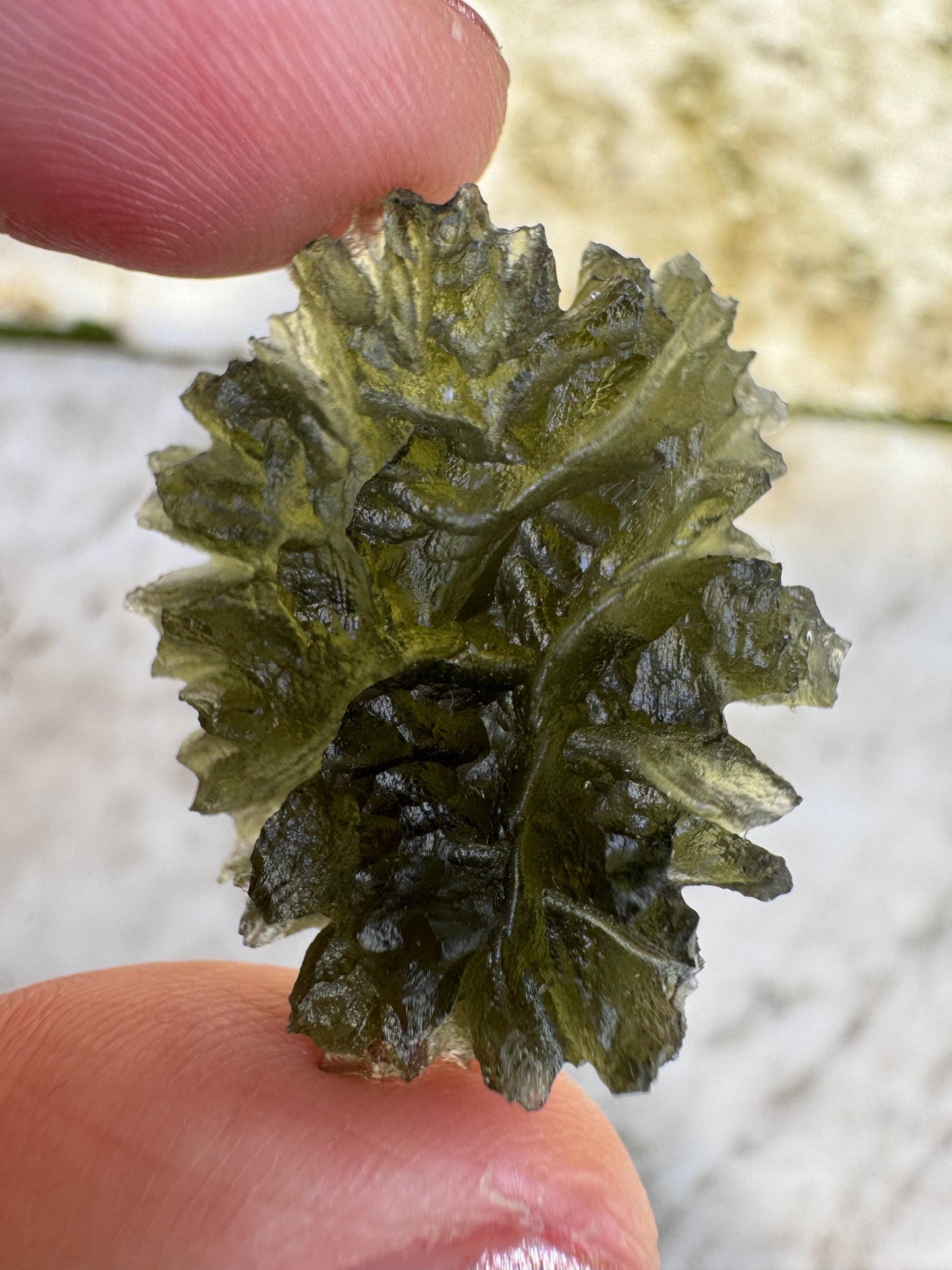 Museum Grade Besednice Moldavite: Czech Republic Crystal (4.62g)