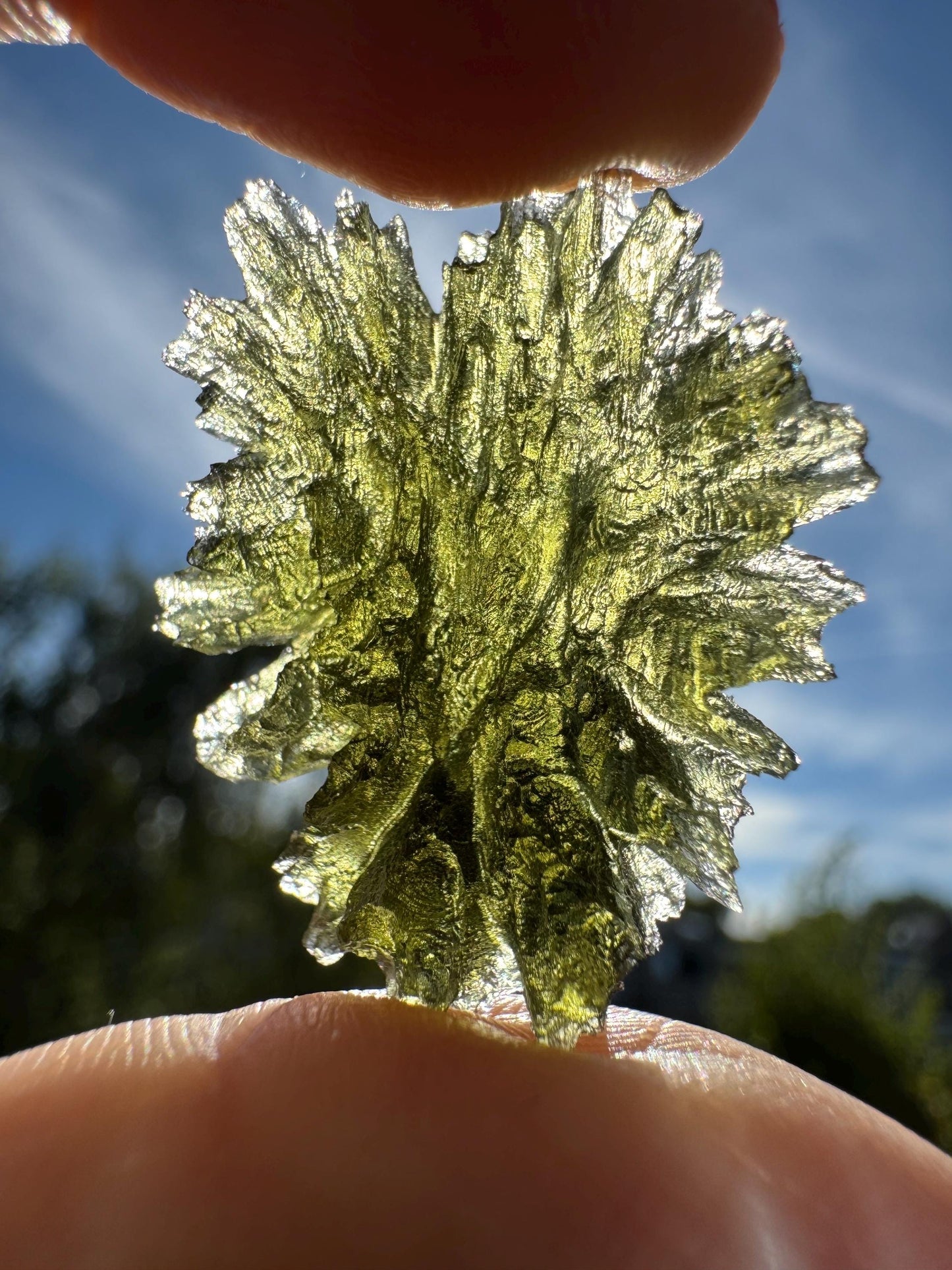 Museum Grade Besednice Moldavite: Czech Republic Crystal (4.62g)