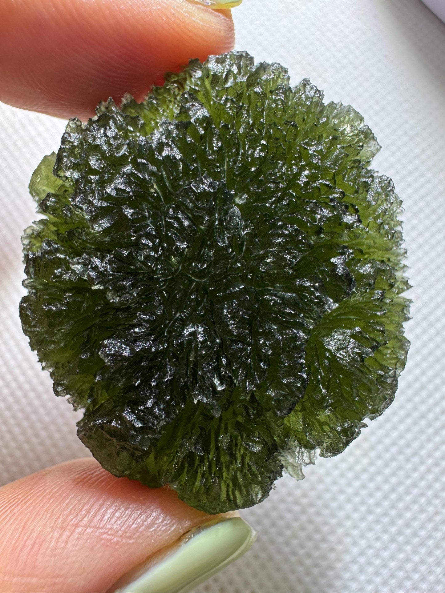25.38g Krasejovka Moldavite, Disc Shape, Collector Grade
