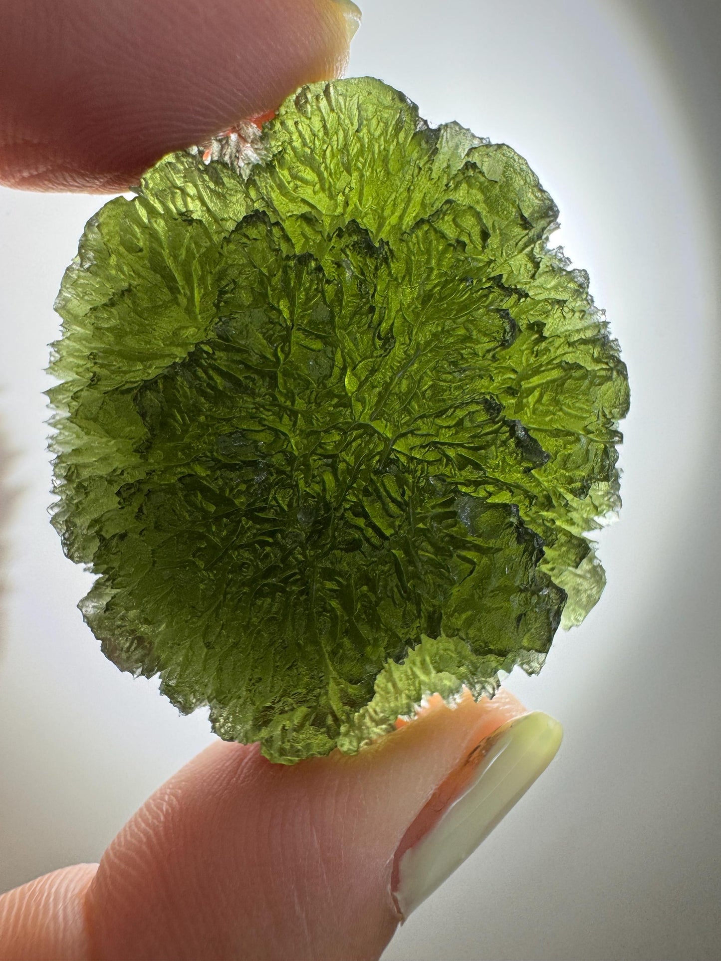 25.38g Krasejovka Moldavite, Disc Shape, Collector Grade