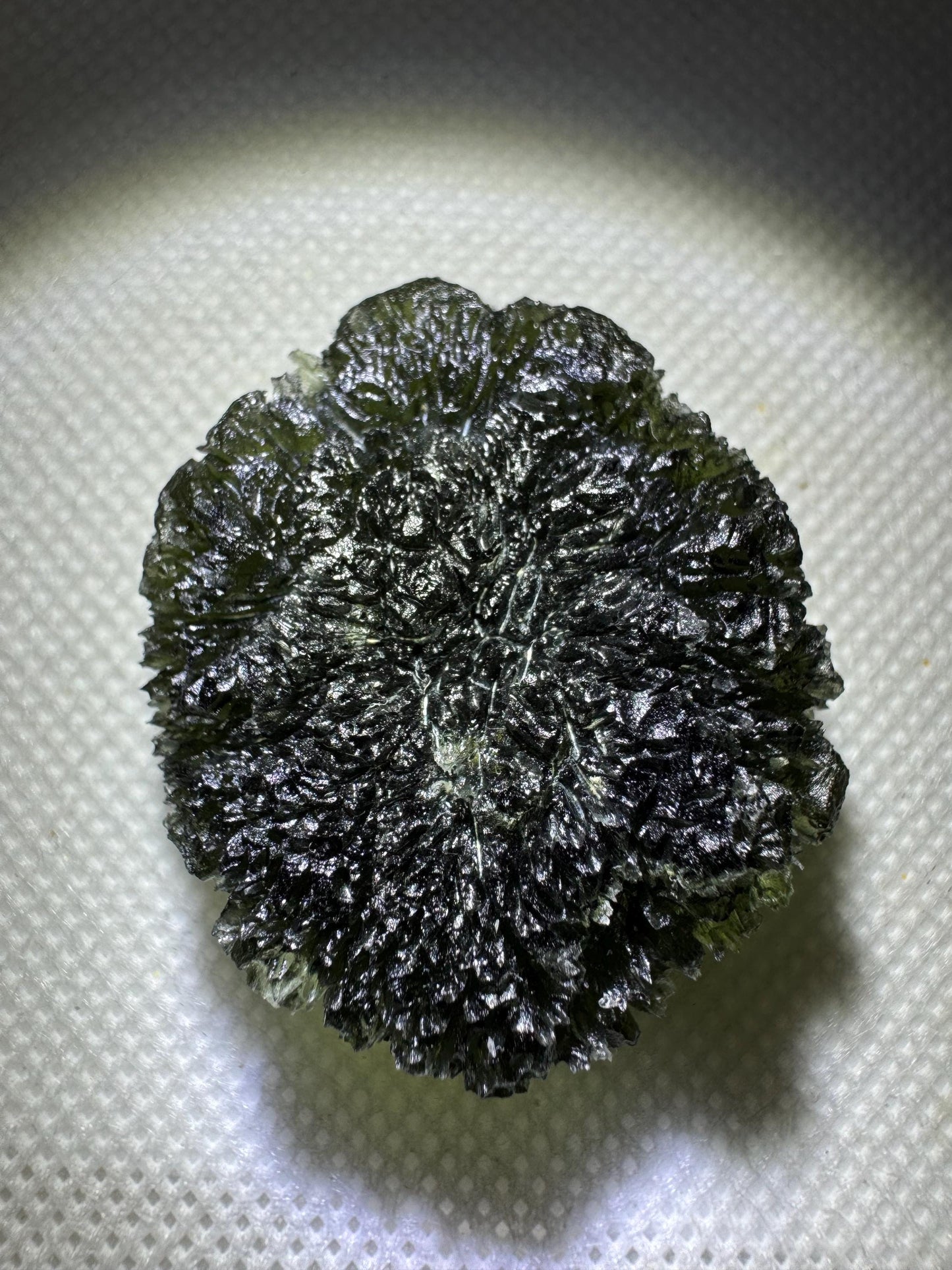 25.38g Krasejovka Moldavite, Disc Shape, Collector Grade